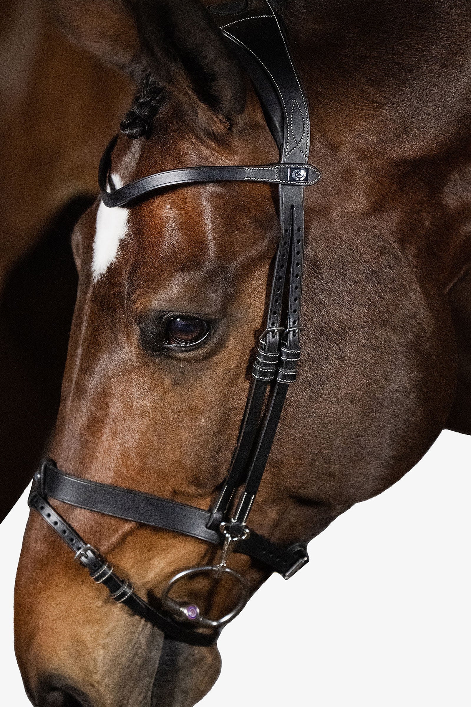 PS of Sweden London Bridle Suitset & Ohjat