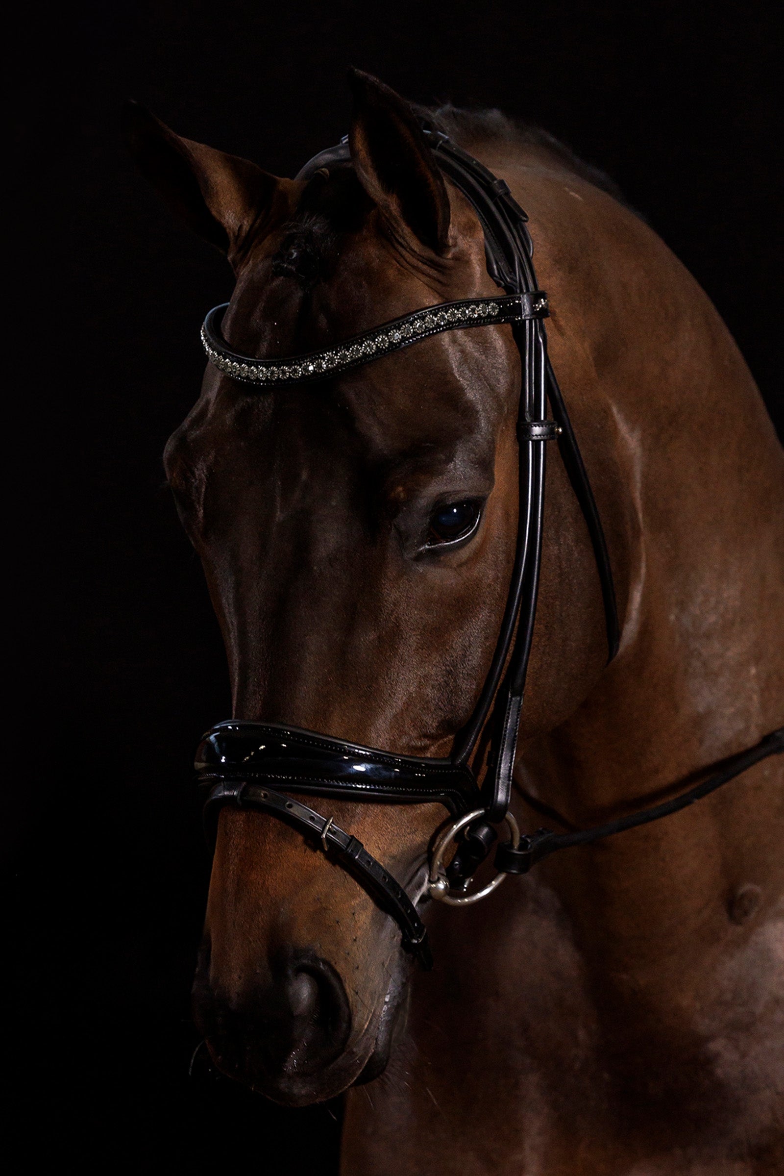 Schockemöhle Sports Westminster Bridle Bridles & Reins