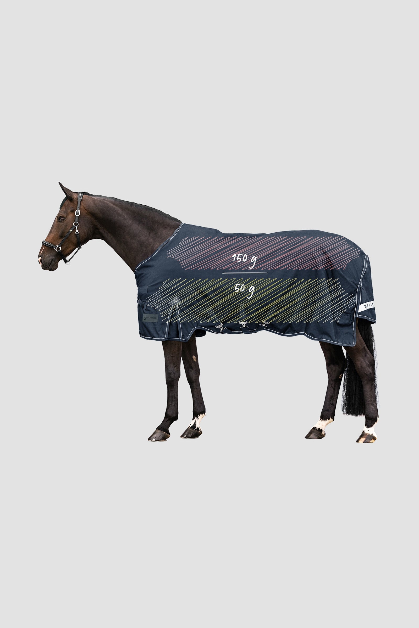 Waldhausen Outdoor Rug Scandic Multi-Layer 150g/50g Horse Rugs