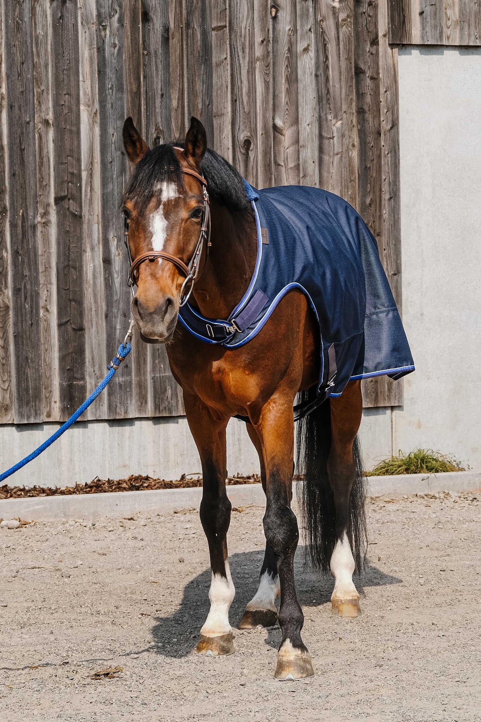 Equi Theme EQUITHÈME Classic 1200D Walker Sheet Horse Rugs