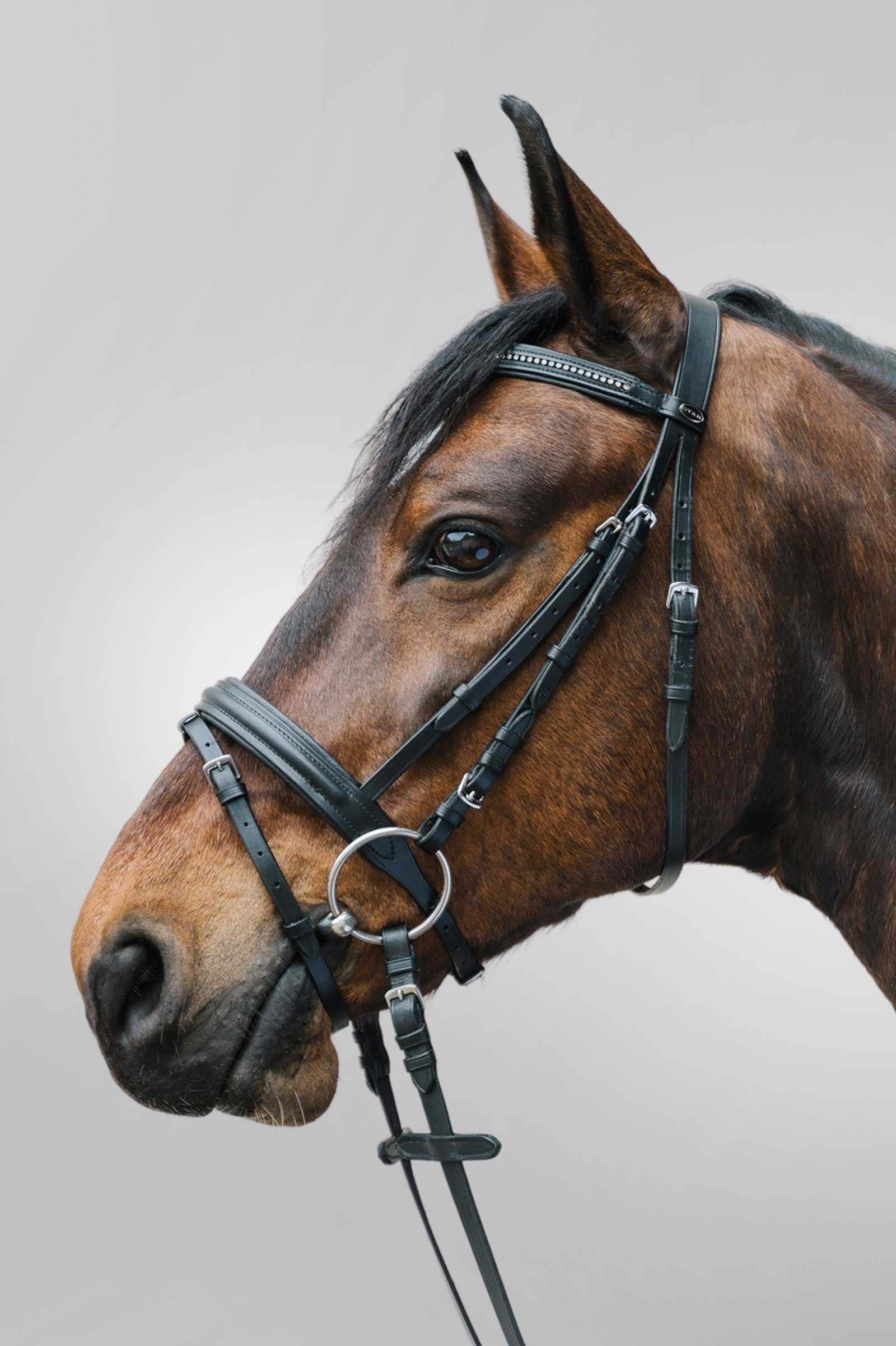 Waldhausen Star Diamant Bridle Bridles & Reins