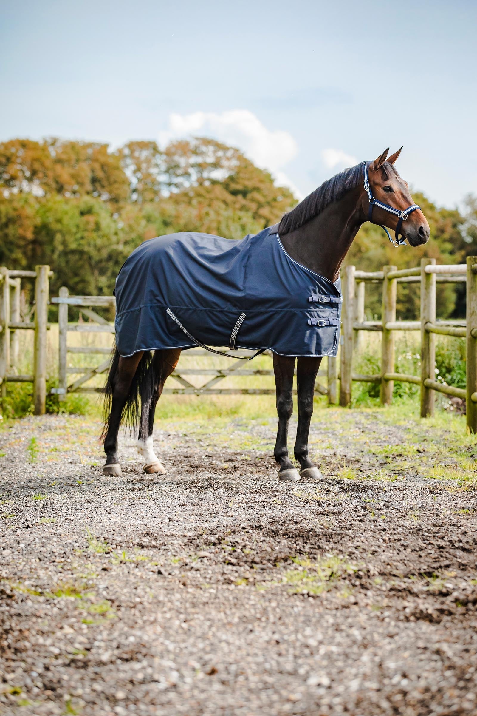 Horse Guard HorseGuard Landon 1200D Turnout Rug Standard Neck, 0 g Loimet