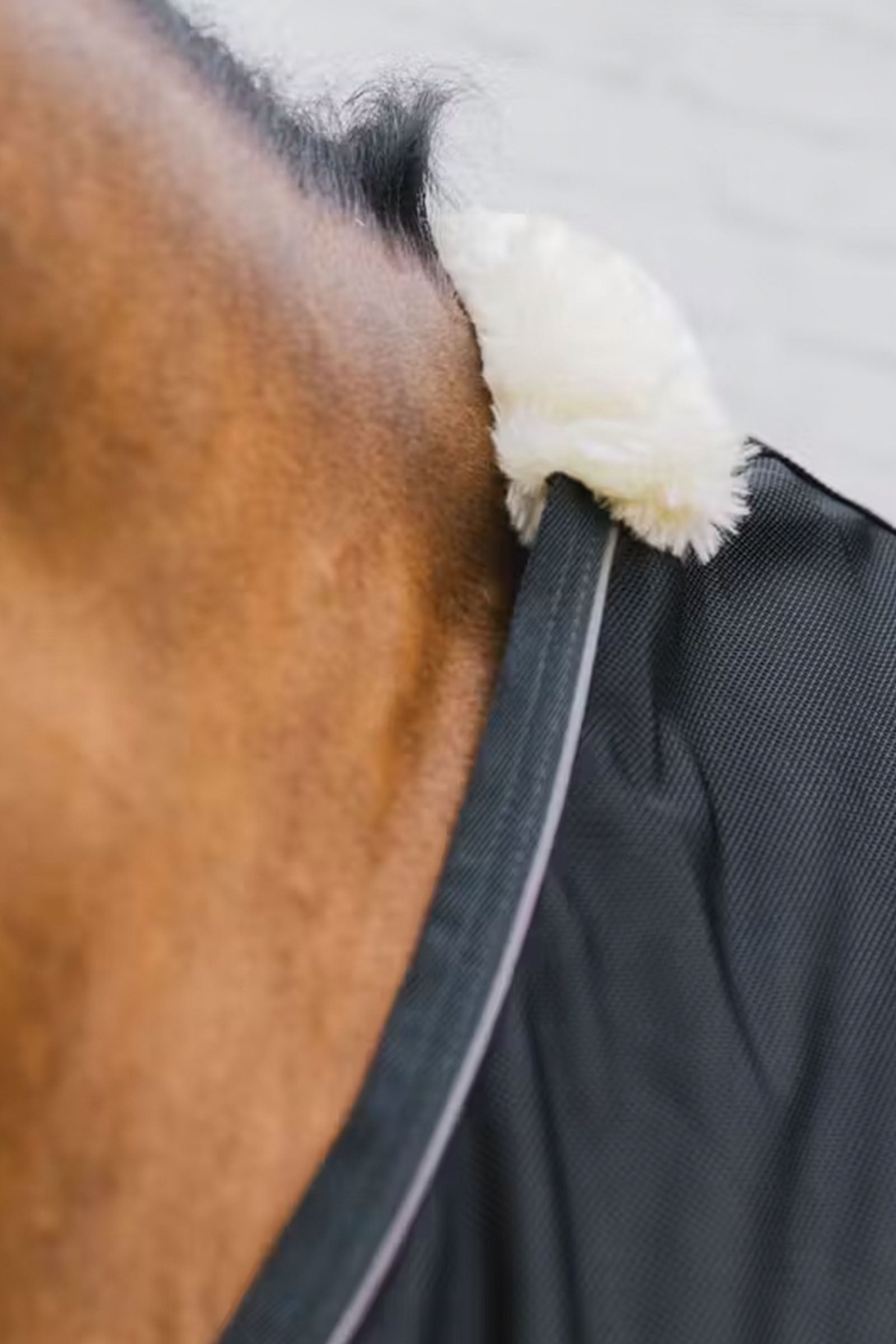 Kentucky Horsewear Mesh Fly Sheet Horse Rugs