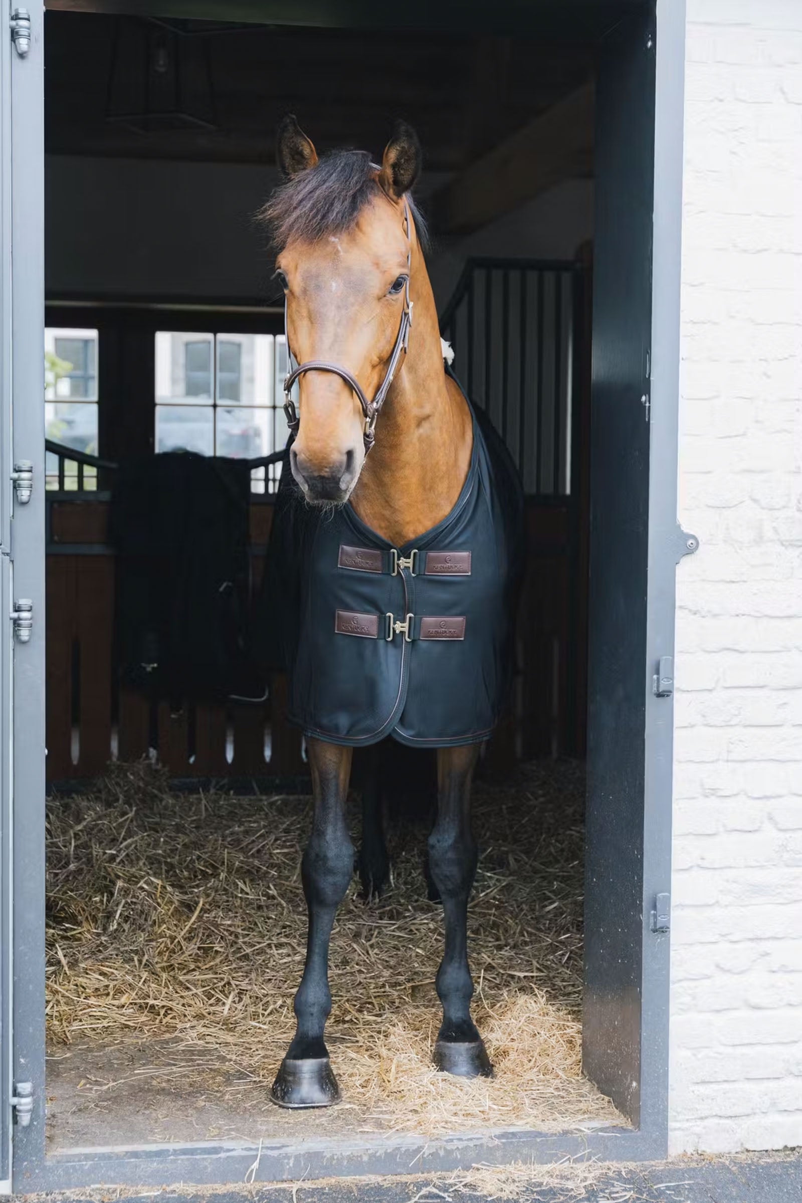 Kentucky Horsewear Mesh Fly Sheet Horse Rugs