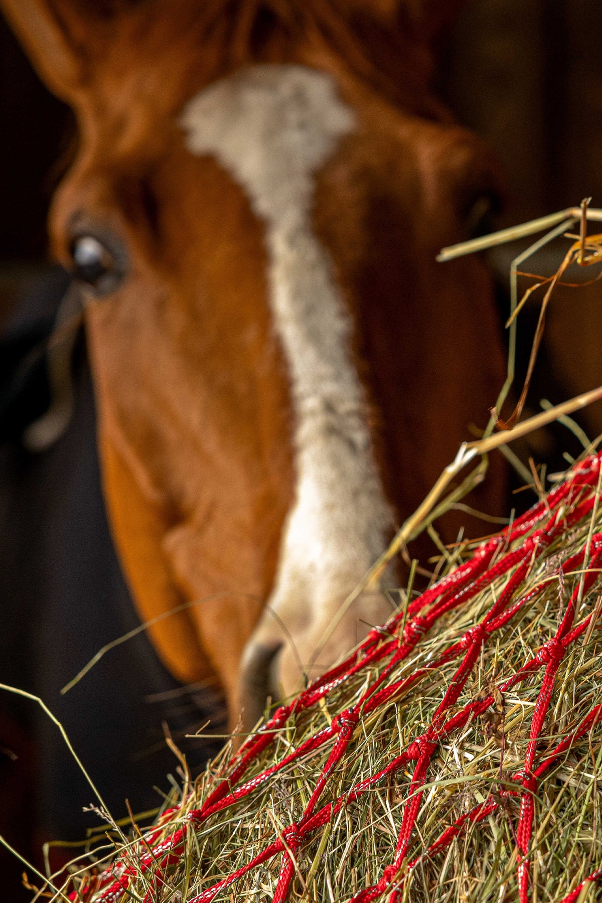 HIPPOTONIC ZARI Hay Net (105 cm), 5 x 5 Mesh Horse Feeders & Waterers