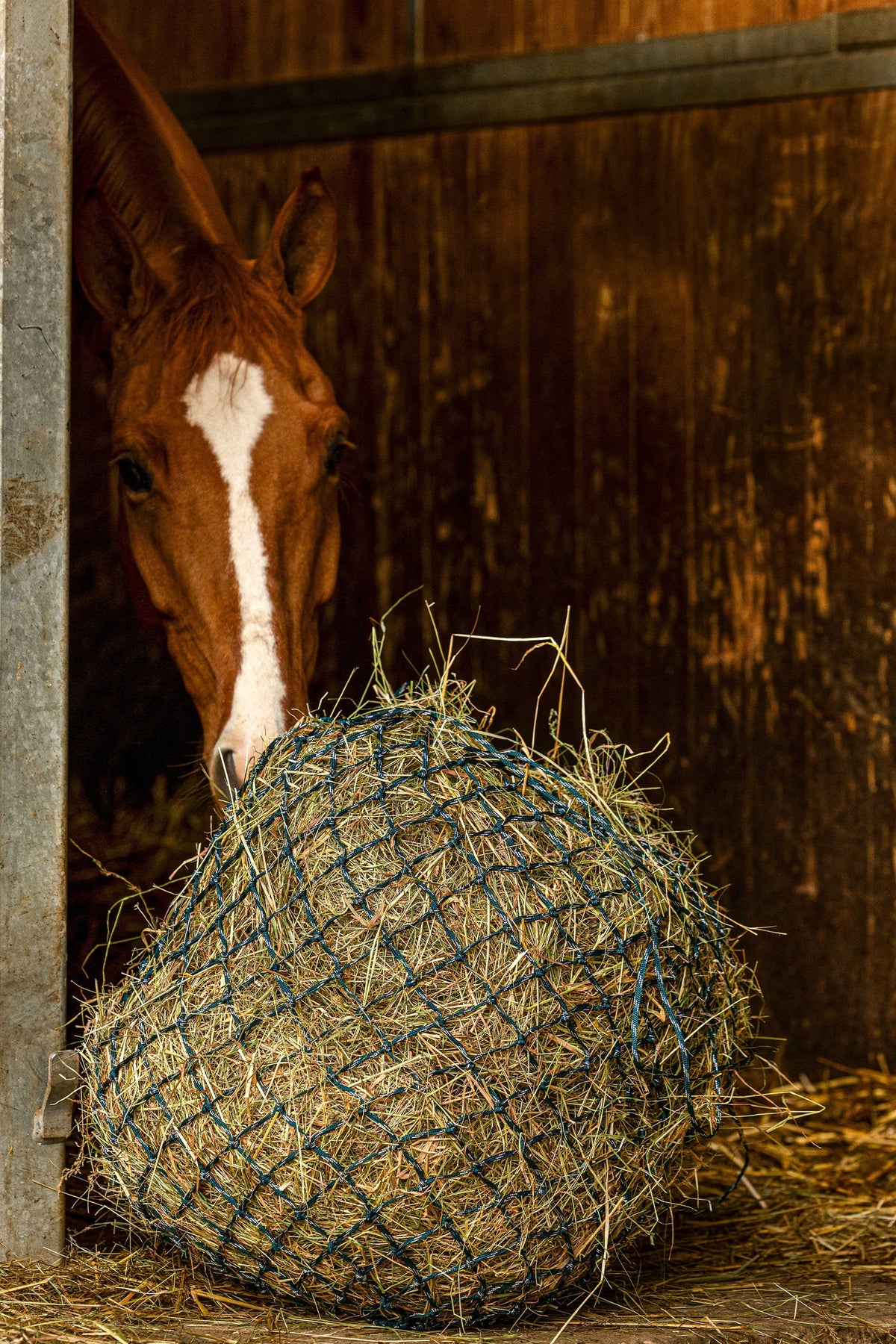 HIPPOTONIC ZARI heinäverkko (105 cm), 5 x 5 mesh Hevosen ruokinta