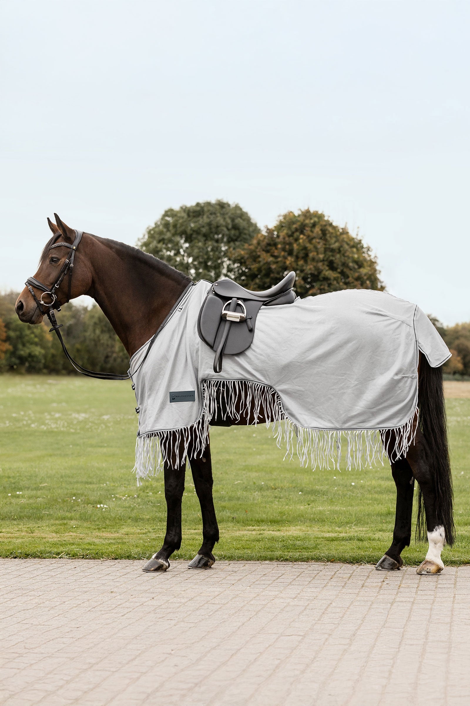 Waldhausen Protect Fly Exercise Sheet With Fringes Horse Rugs