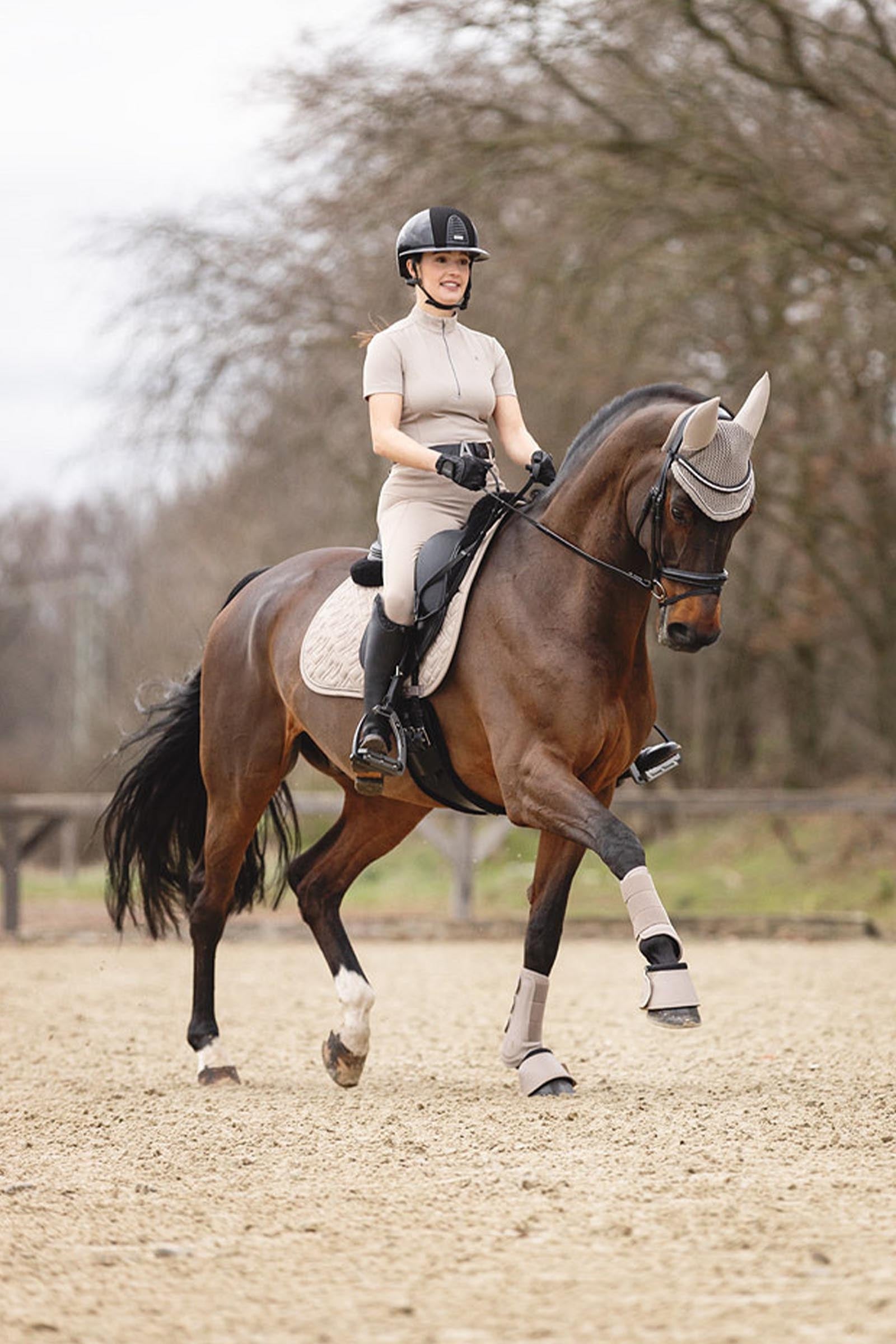 Anky ANKY 3C Collection Proficient Neoprene Tendon Boots Leg & Hoof Protection