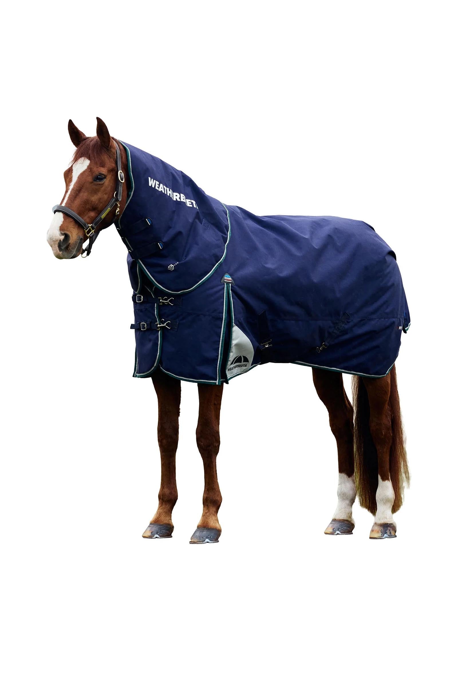Weatherbeeta Comfitec Plus Dynamic Turnout Rug Detach-A-Neck 360g Loimet