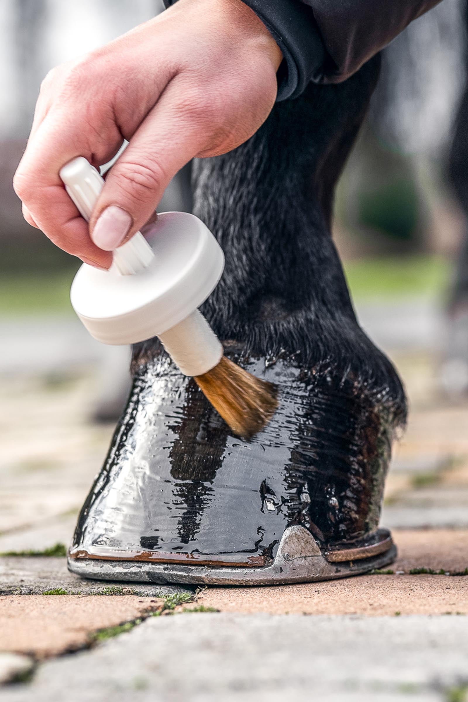 Bense & Eicke Natural Hoof Oil With Brush, 450ml Horse Health Care