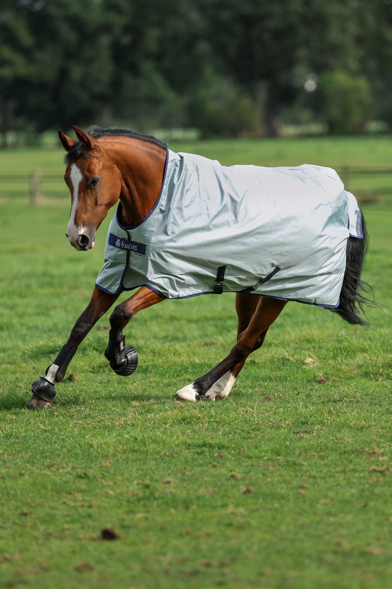 Bucas Power Turnout Light with High Neck, 0 g Horse Rugs