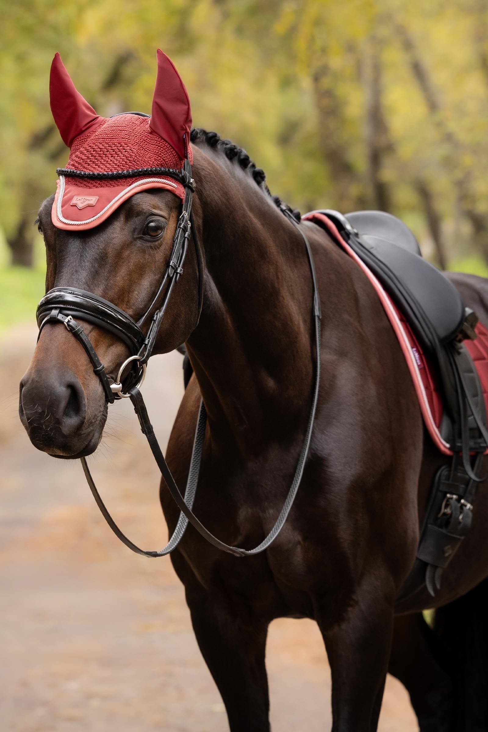 LeMieux Loire Fly Hood Saddle Pads