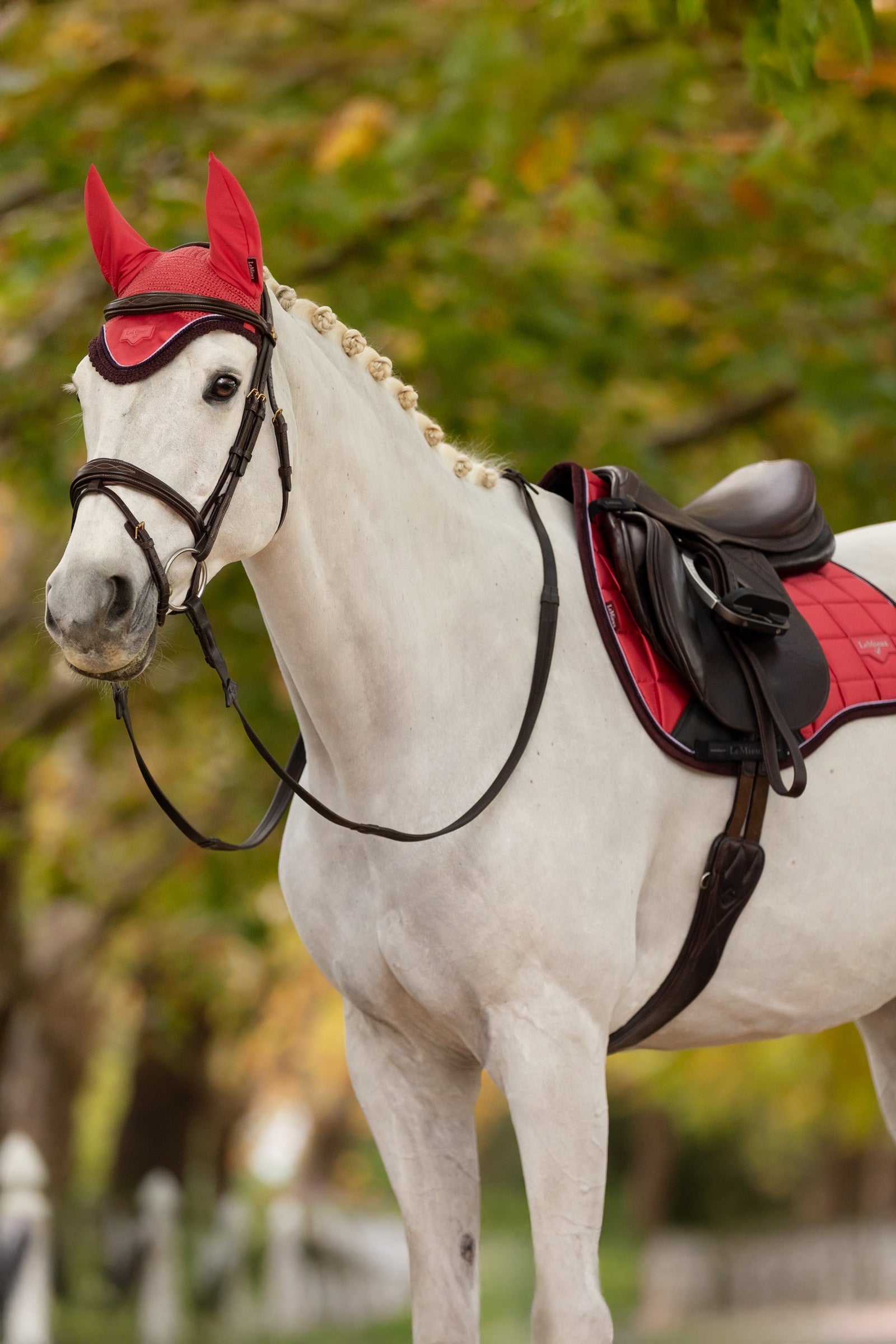 LeMieux Loire Fly Hood Saddle Pads