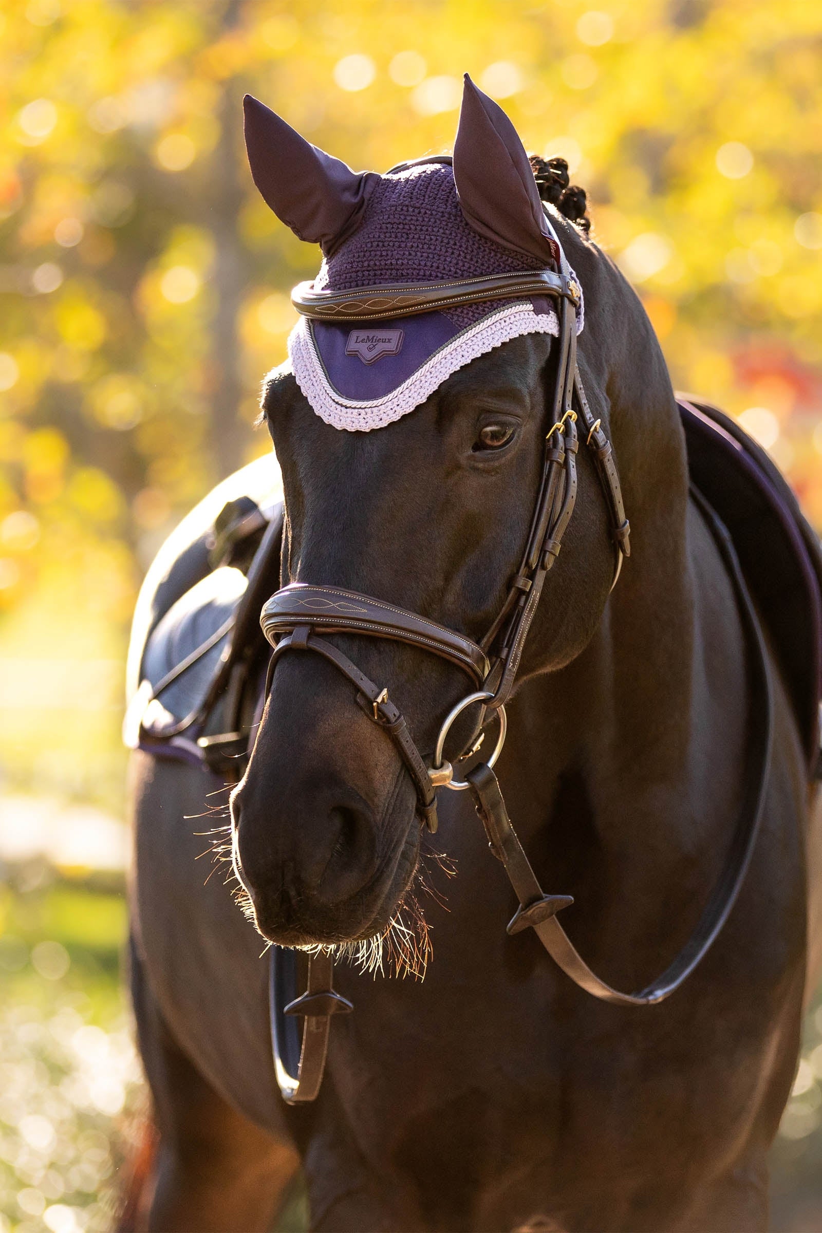 LeMieux Loire Fly Hood Saddle Pads