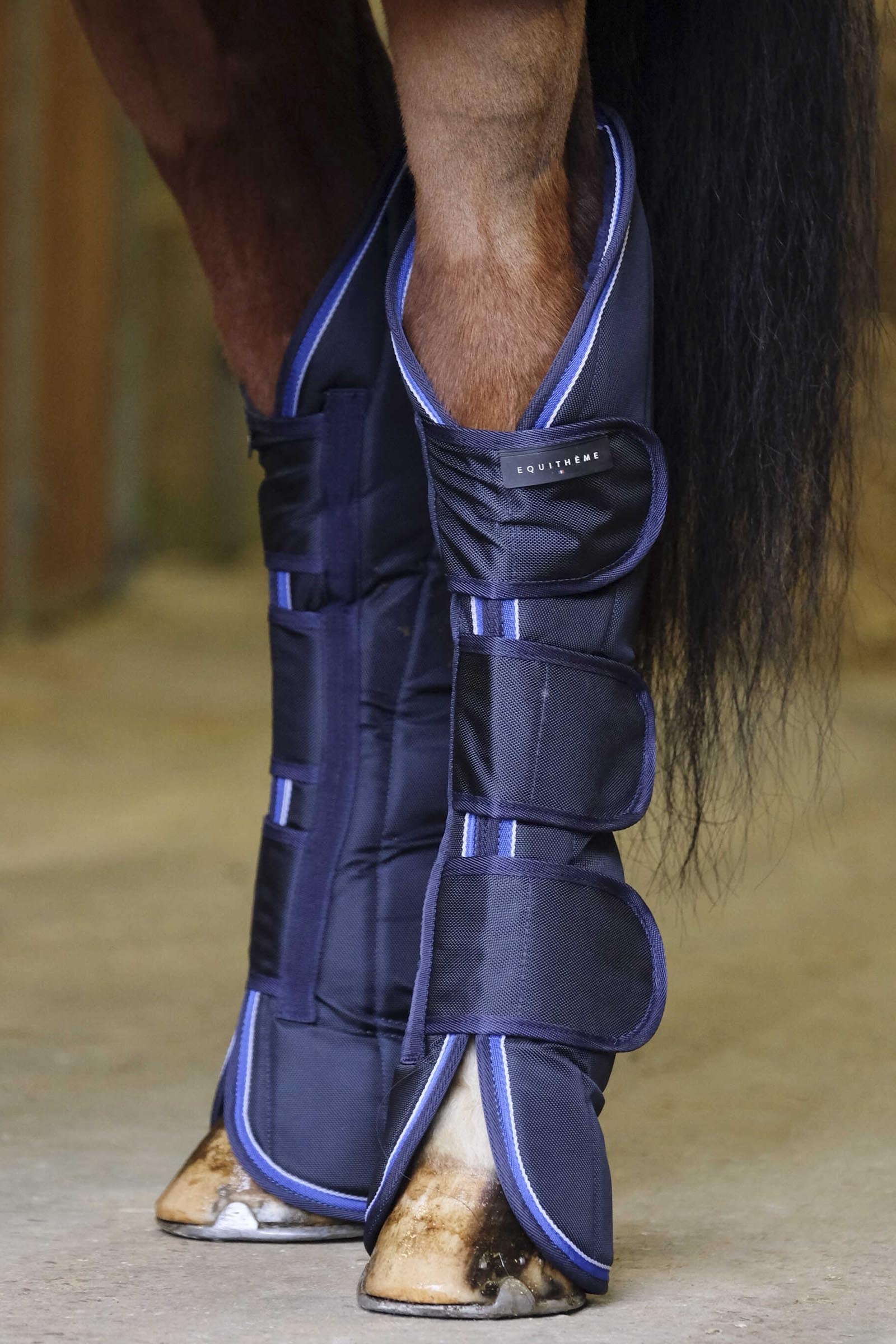 EQUITHÈME TYREX 1680D Transport Boots Leg & Hoof Protection