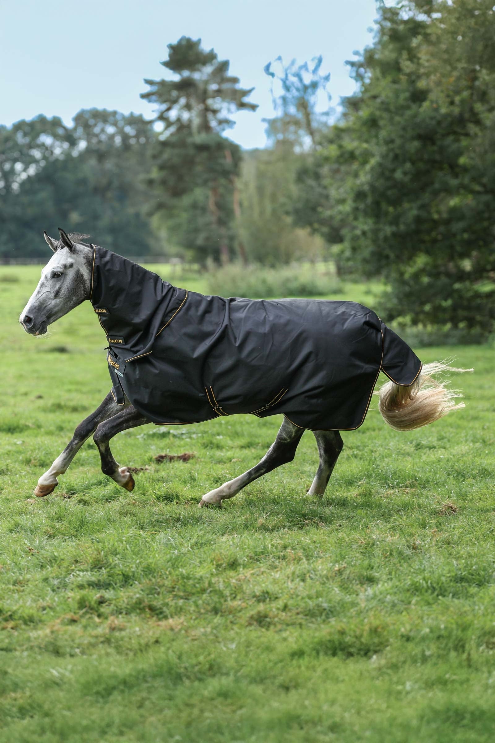 Bucas Irish Turnout 150 g Rug & Neck Set Loimet