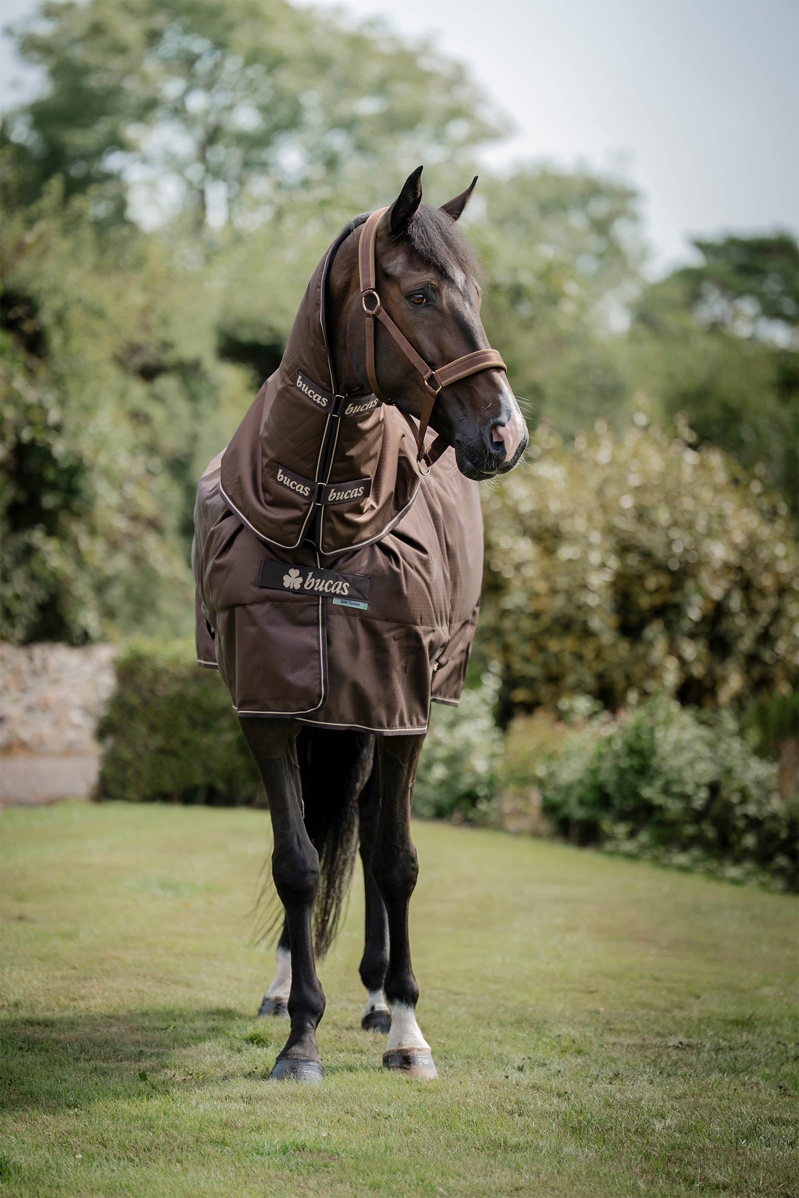 Bucas Irish Turnout 150 g Rug & Neck Set Horse Rugs