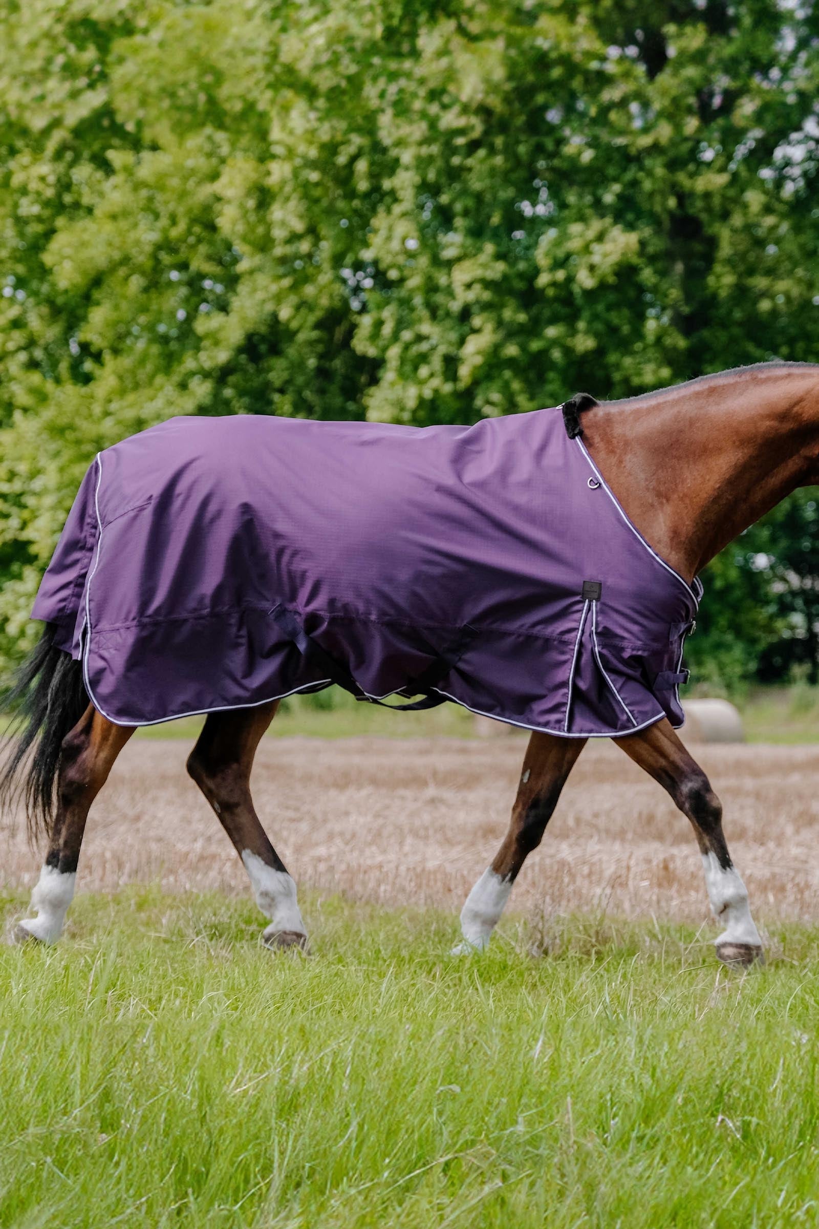 Equi Theme EQUITHÈME TYREX Aisance 600D Turnout Rug, 150 g Horse Rugs