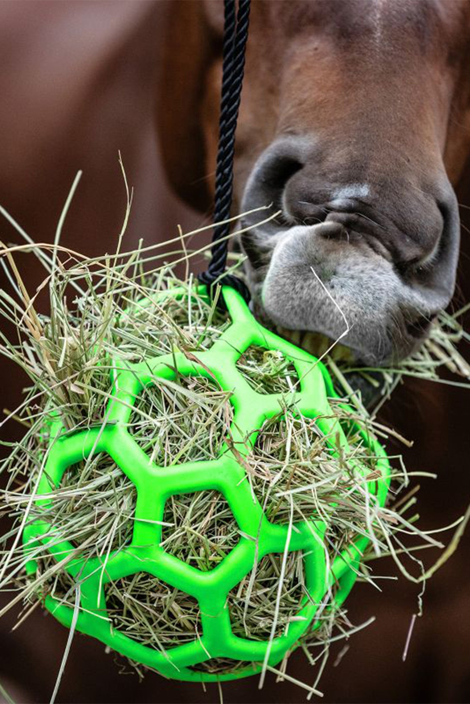 Waldhausen Heinäpallo Hevosen ruokinta