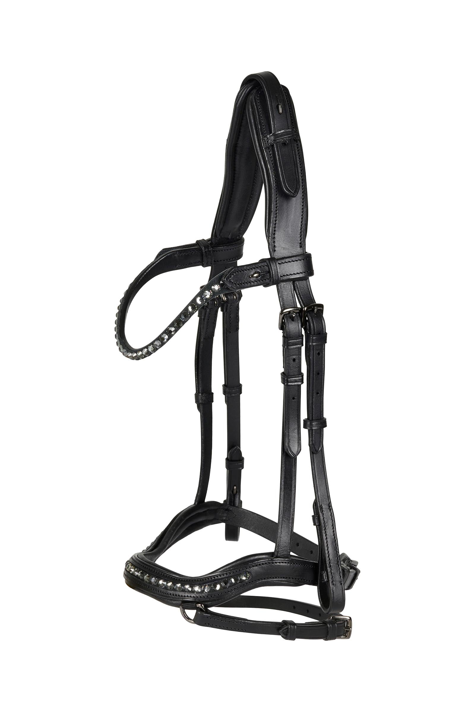 Catago Raja Icelandic Bridle Suitset & Ohjat