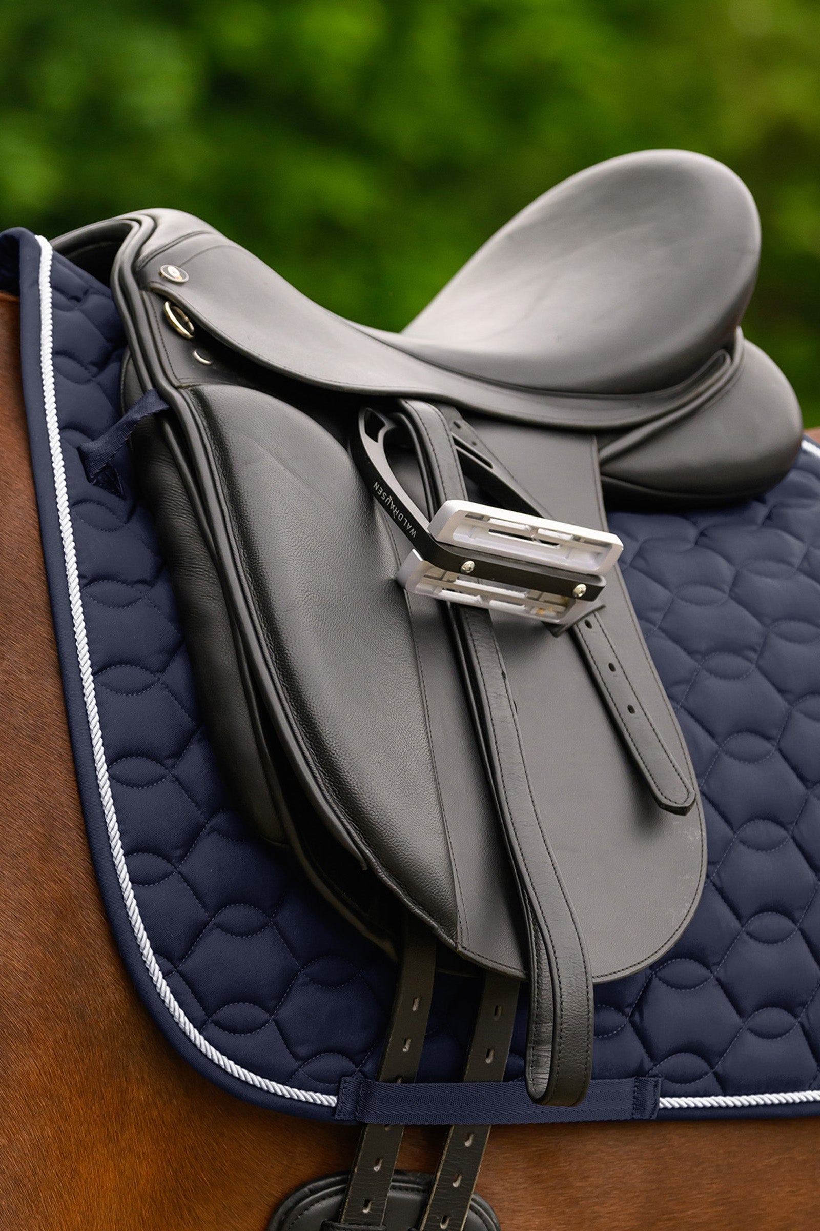 Waldhausen Ancona Dressage Saddle Pad Saddle Pads