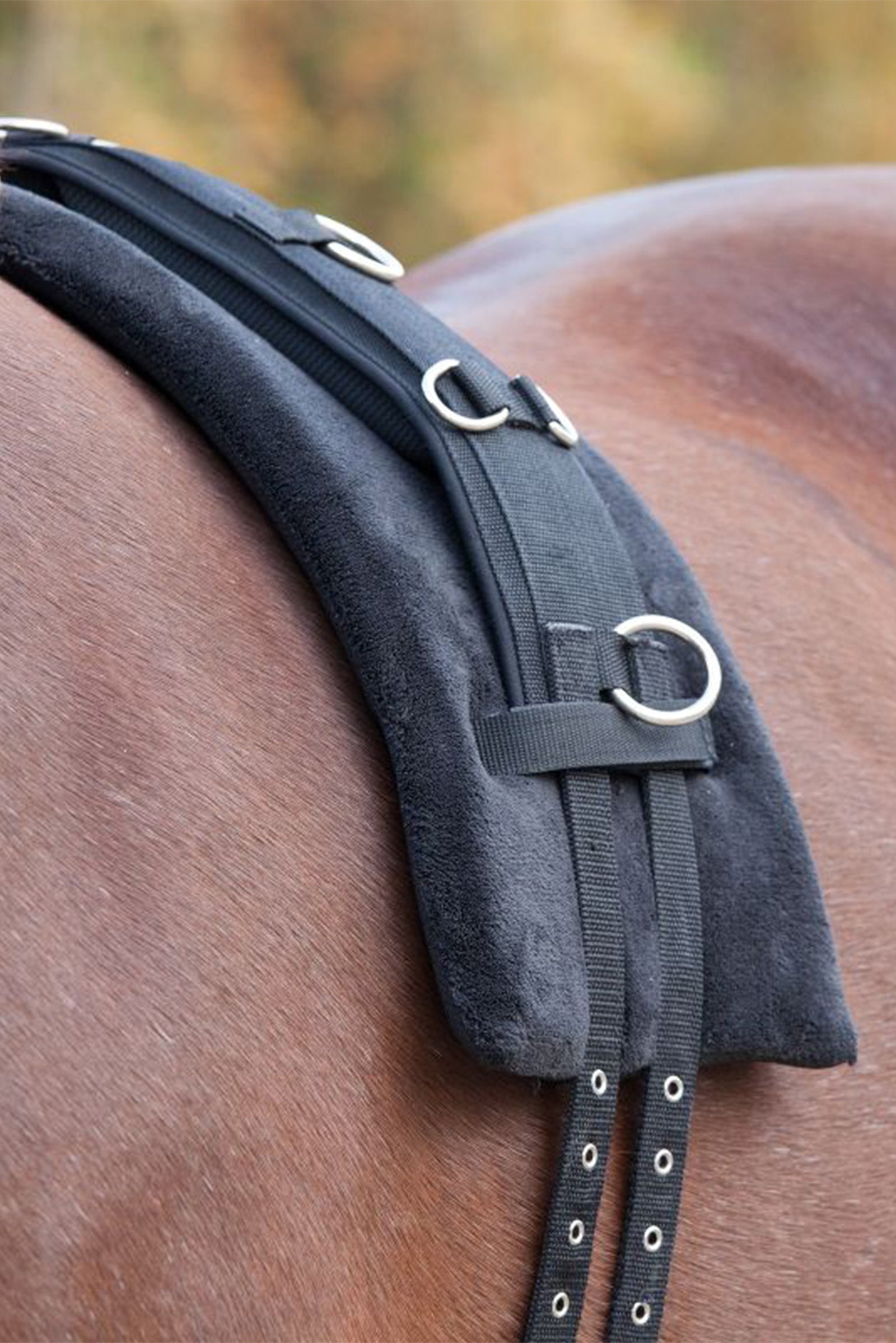 Waldhausen Memory Foam -surcingle-patja Juoksutus & ohjasajo