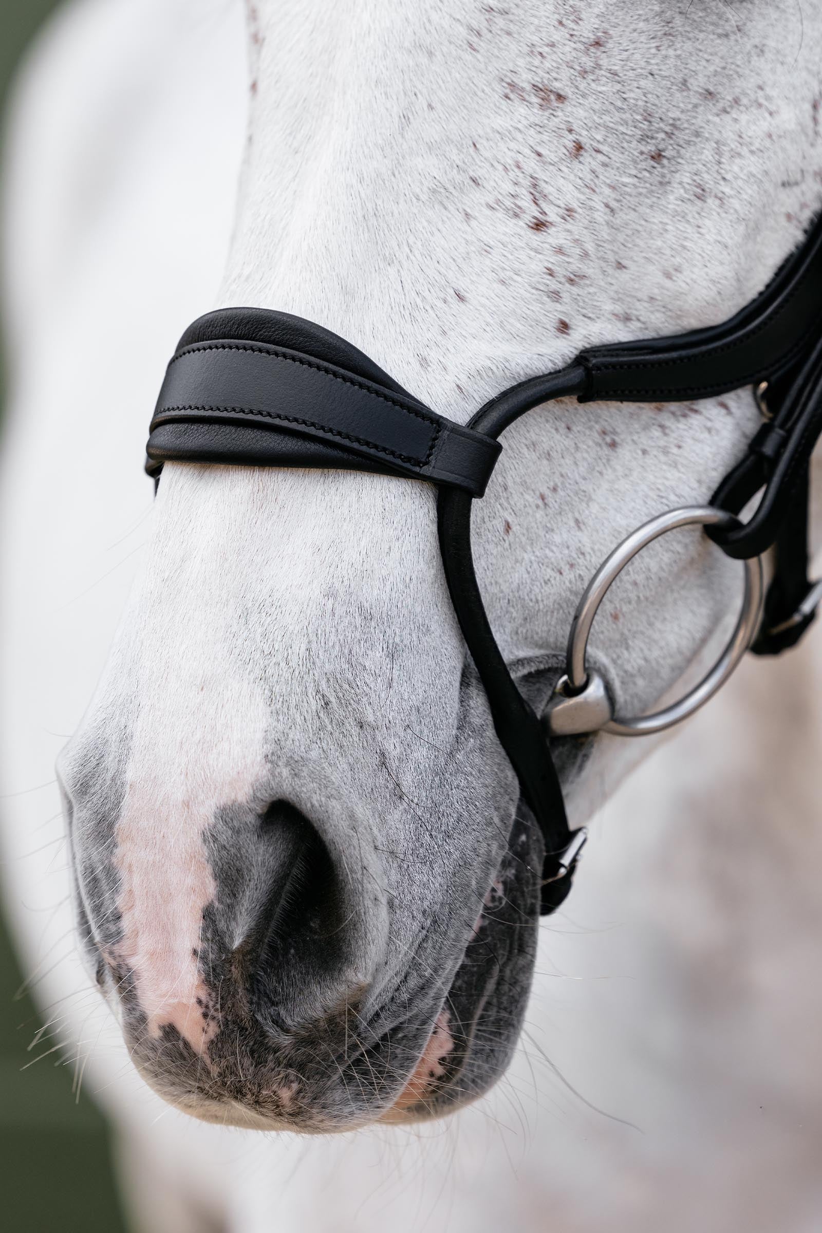 LeMieux Arika Adjustable Anatomic Nose Bridle Bridles & Reins