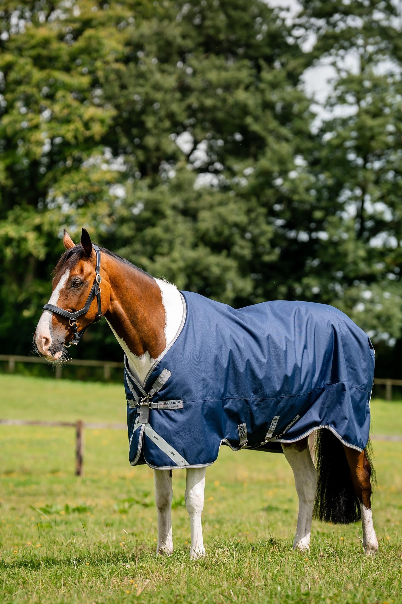 Horseware Amigo 1200D XL Turnout 50 g Horse Rugs