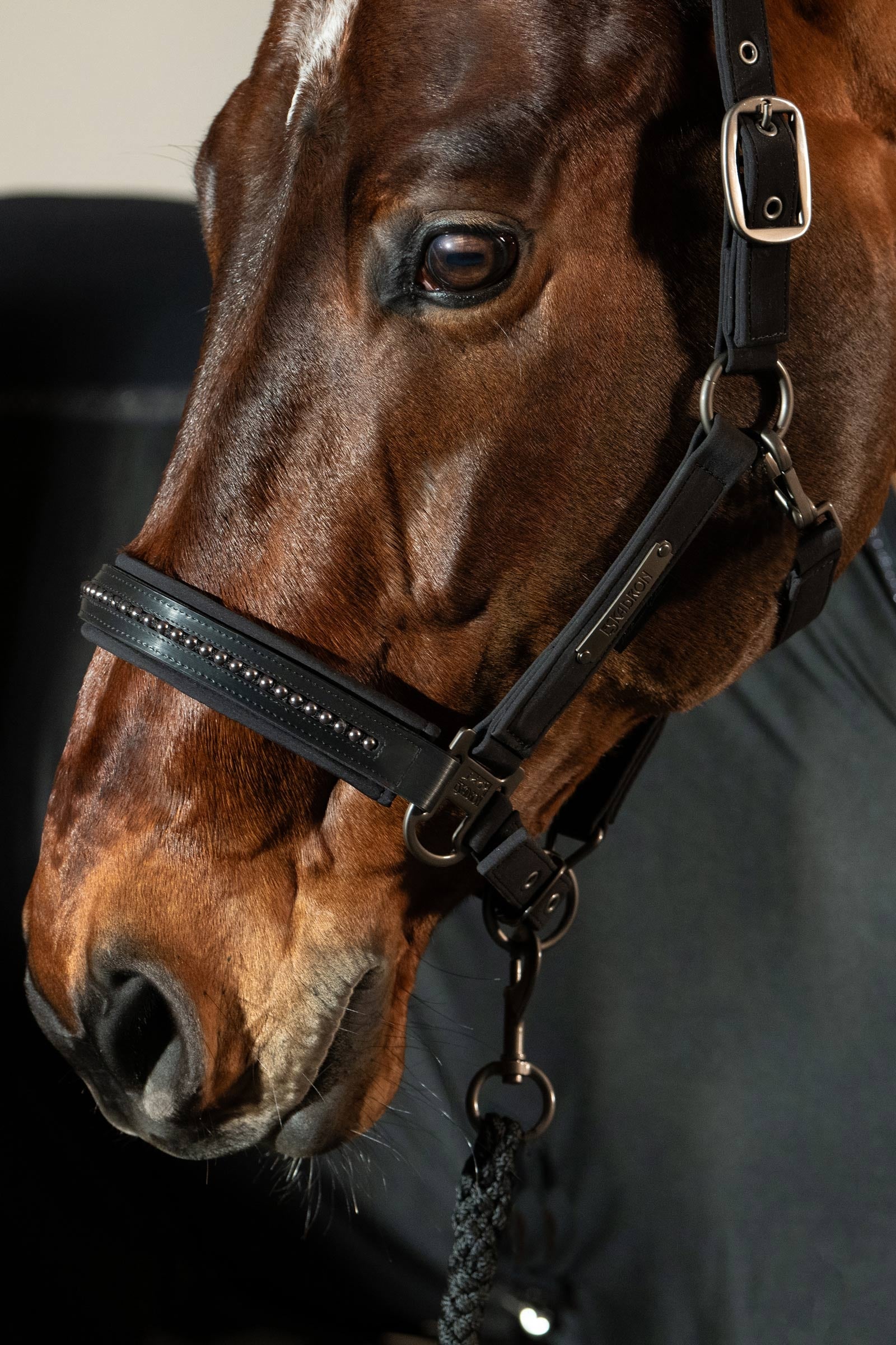 Eskadron Platinum 25 Softshell Pearls Double Pin Headcollar Halters & Leads