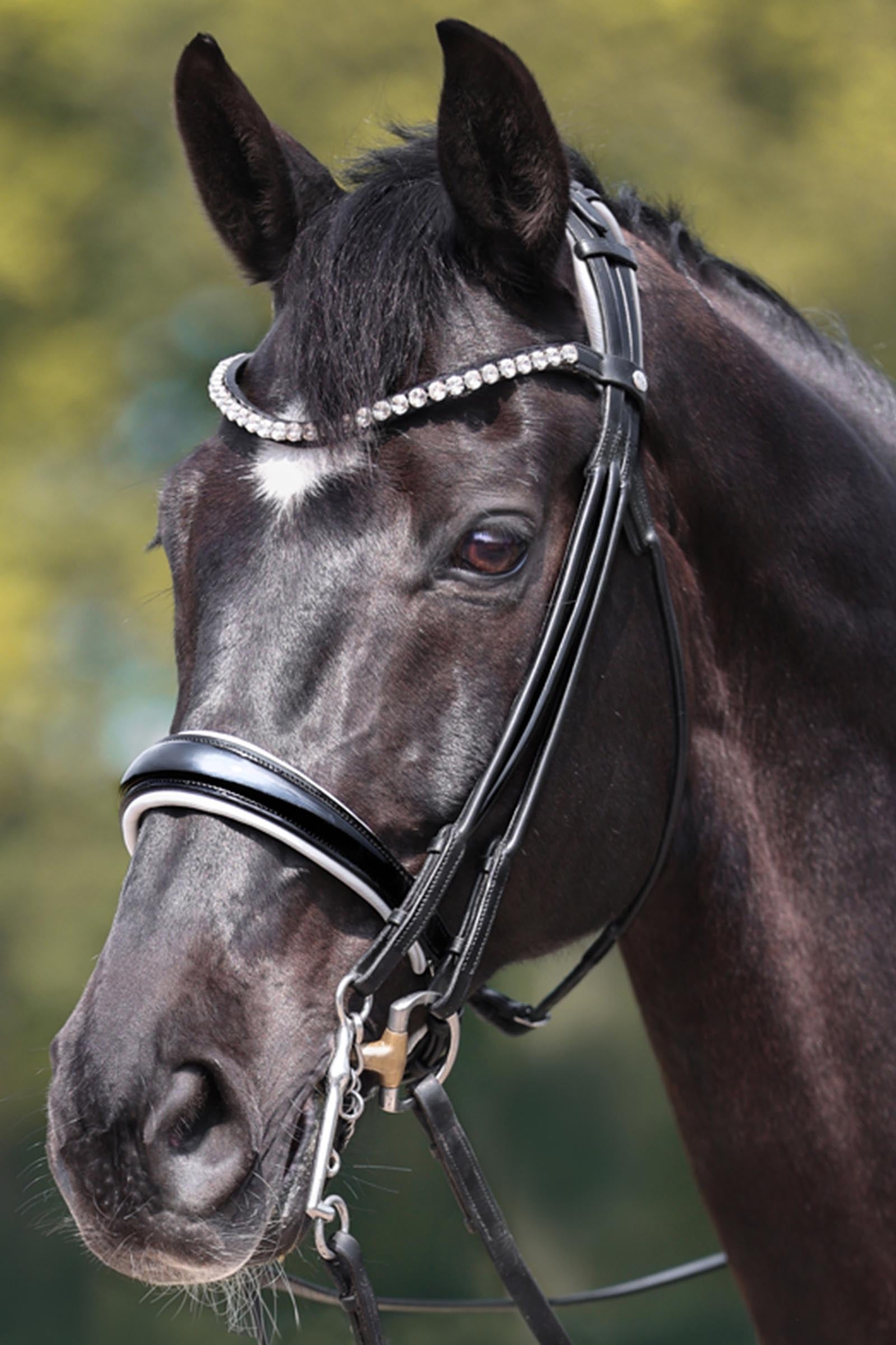 Kavalkade Fleur Double Bridle Bridles & Reins