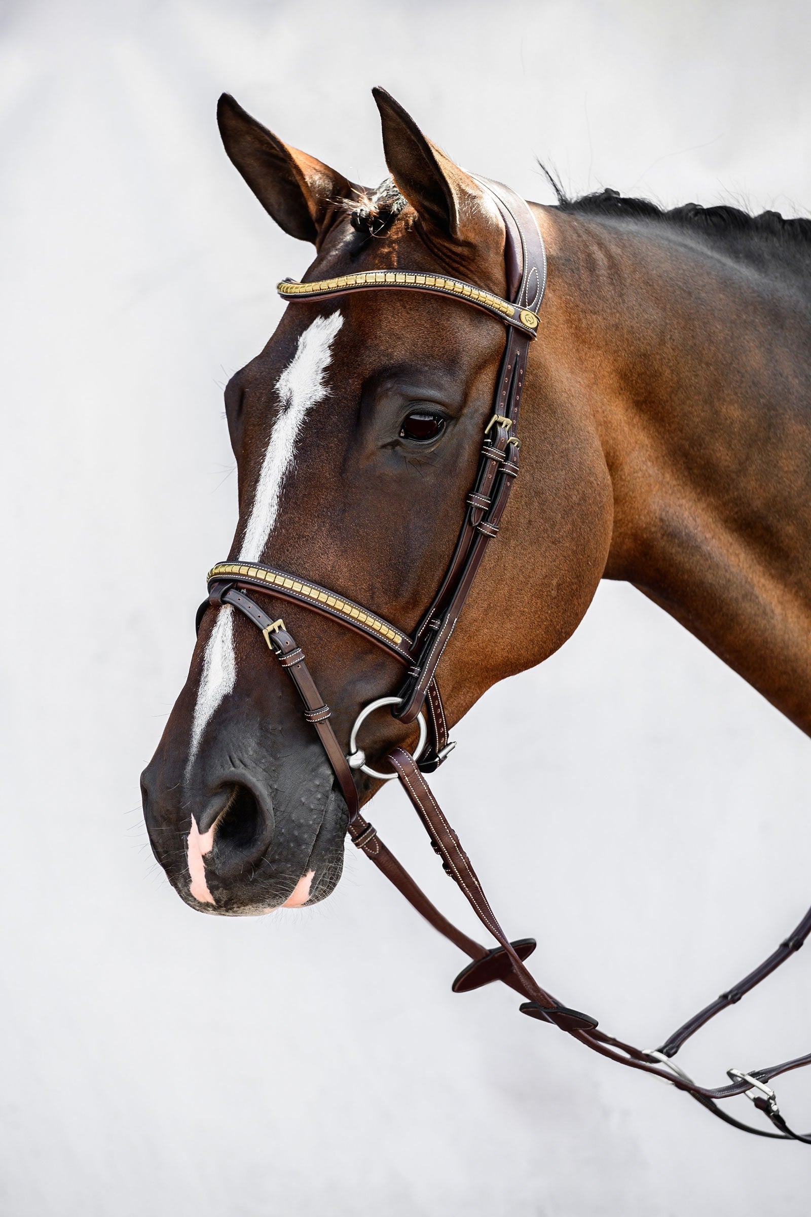 PS of Sweden Antwerp 2.0 Bridle Suitset & Ohjat