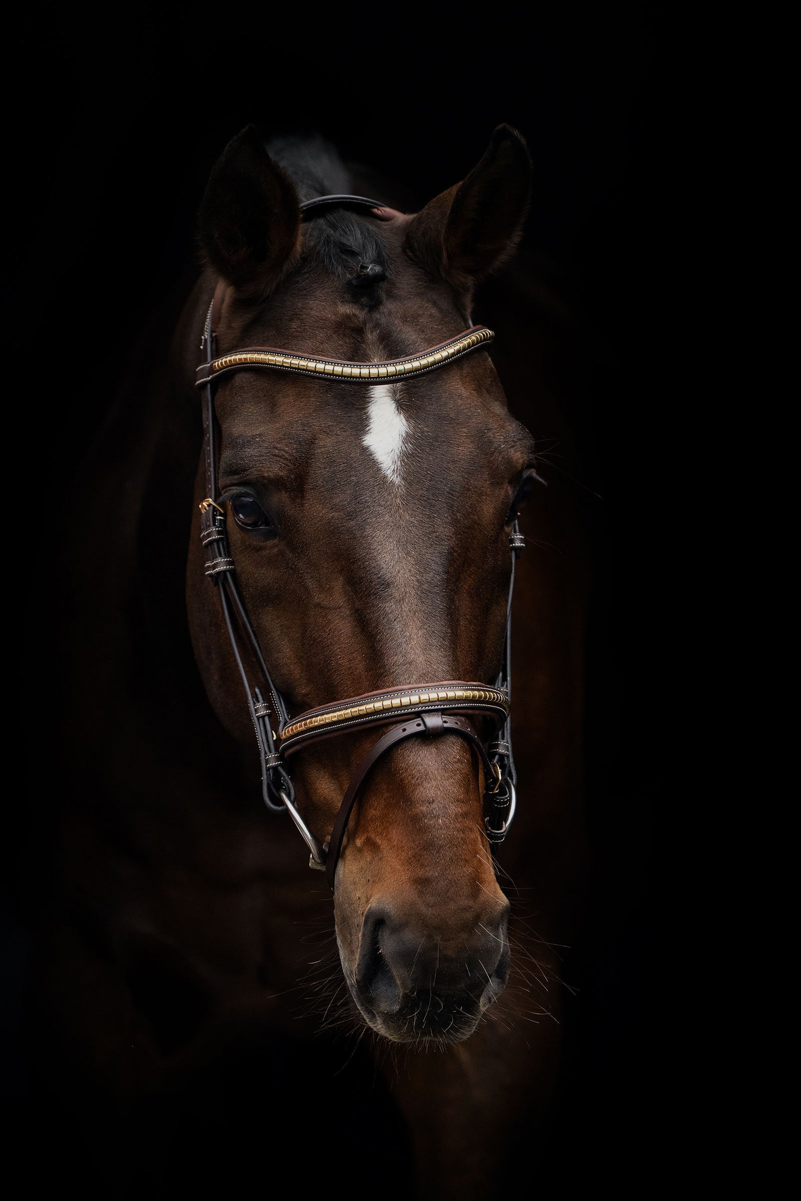 PS of Sweden Antwerp 2.0 Bridle Bridles & Reins