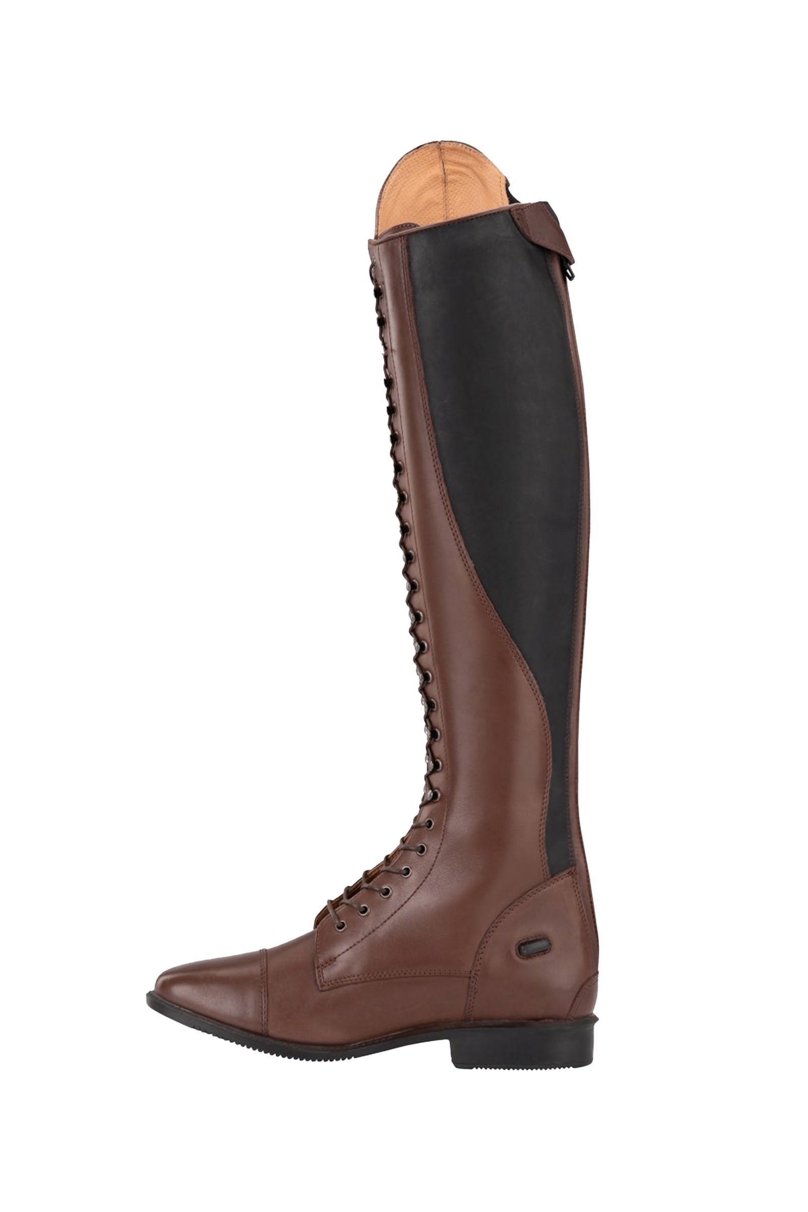Suedwind Footwear Legacy Venado Lace Tall Riding Boots Riding Boots & Riding Shoes