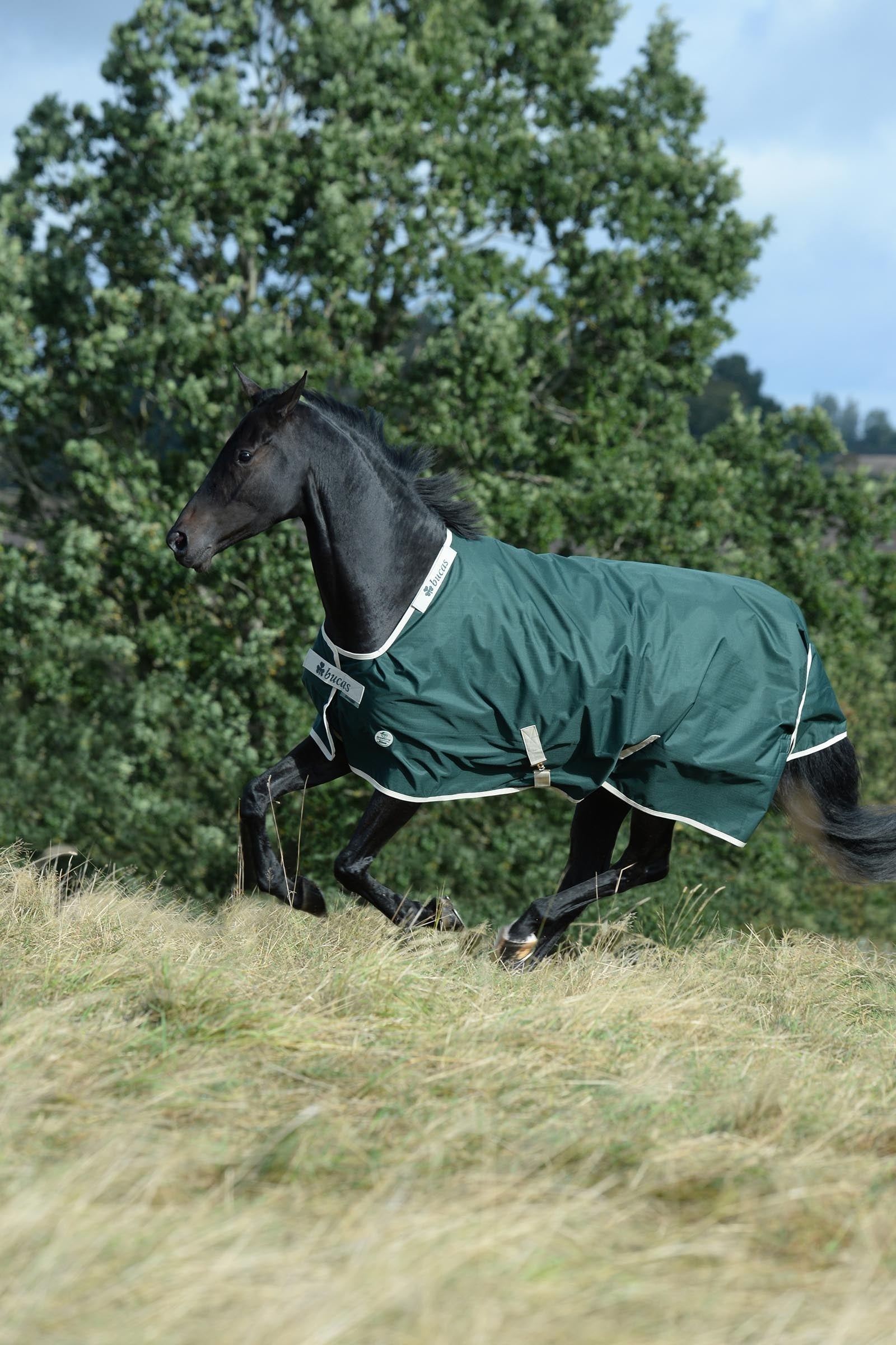 Bucas Green-Line Turnout 300g Horse Rugs