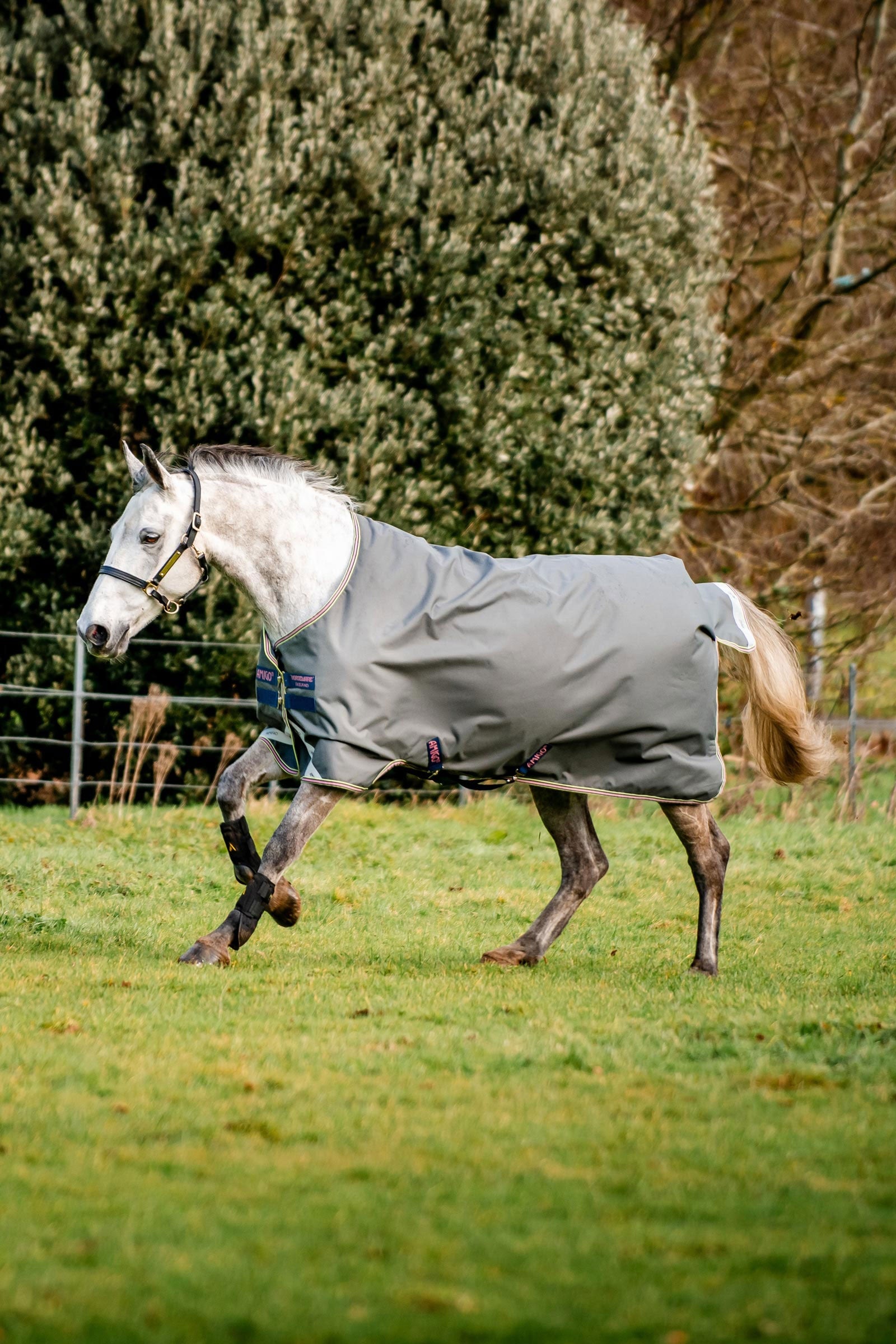 Horseware Amigo Bravo 12 Turnout Rug, 0g Horse Rugs