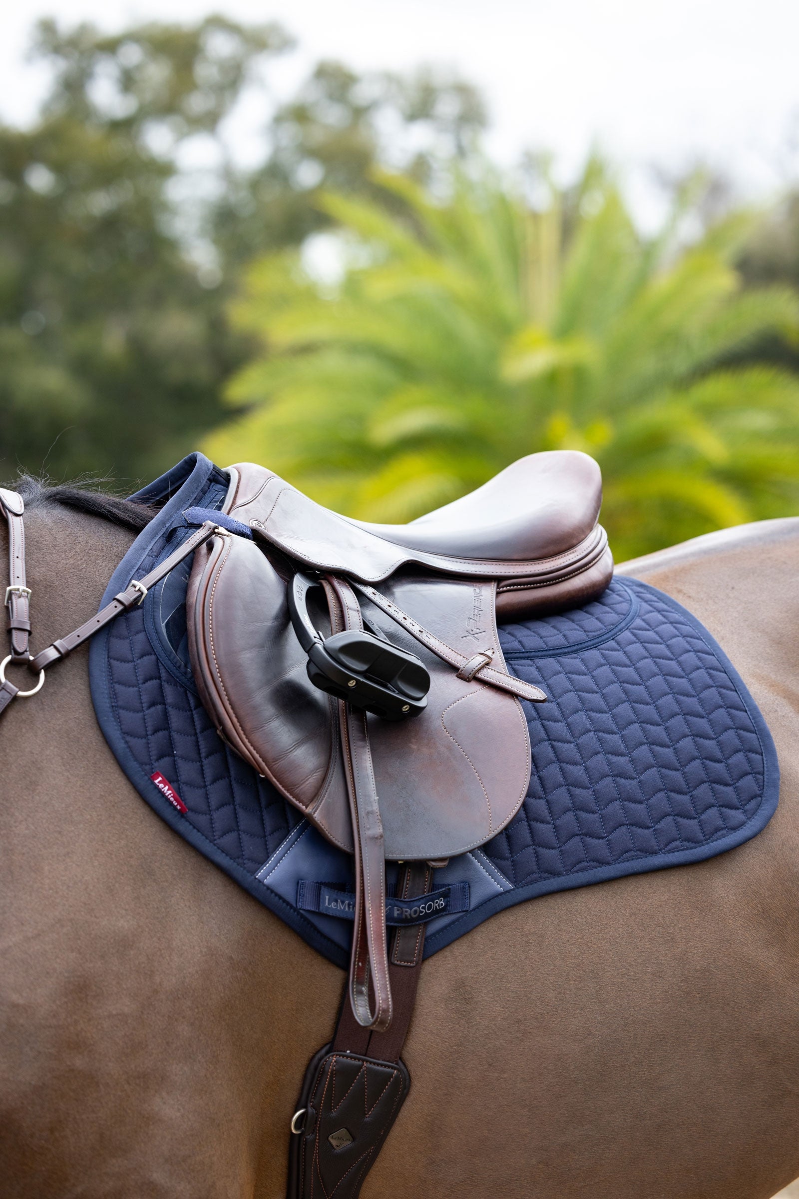 LeMieux Prosorb Plain 2 Pocket Close Contact Pad Saddle Pads