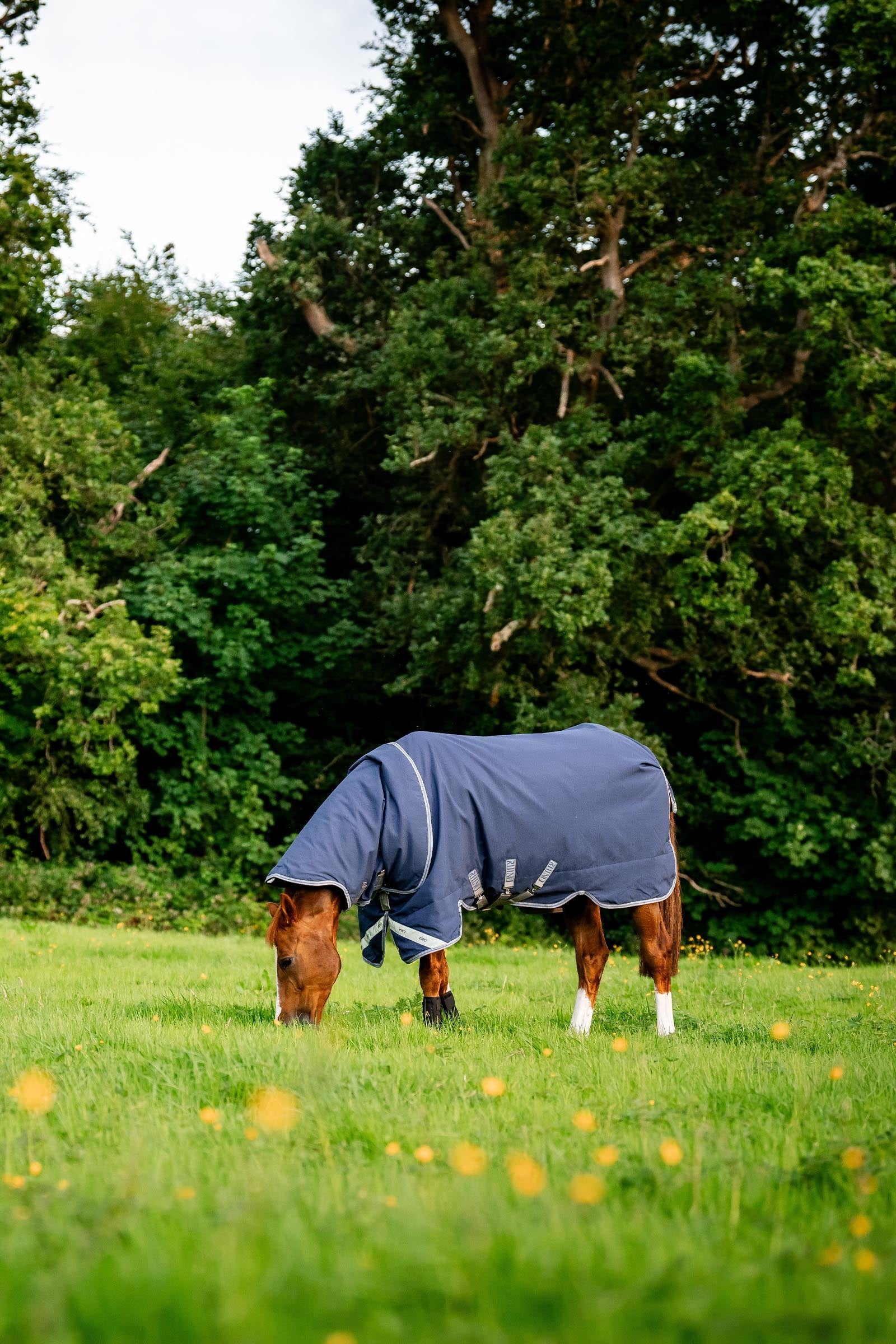 Horseware Rhino Plus Turnout Rug with Detachable Neck, 0g Horse Rugs