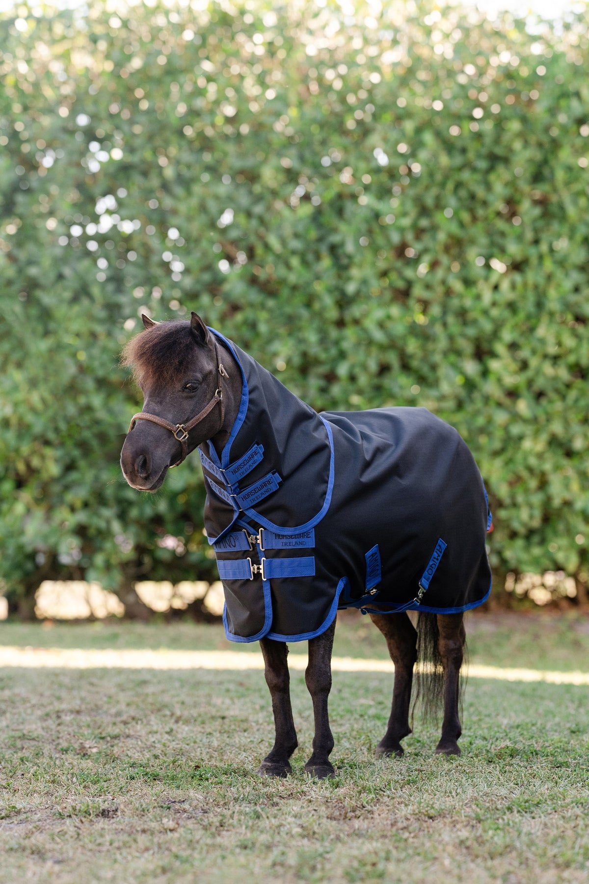 Horseware Amigo Ripstop 900D Plus Petite ulkoloimi irrotettavalla kaulaosalla, 0 g Loimet