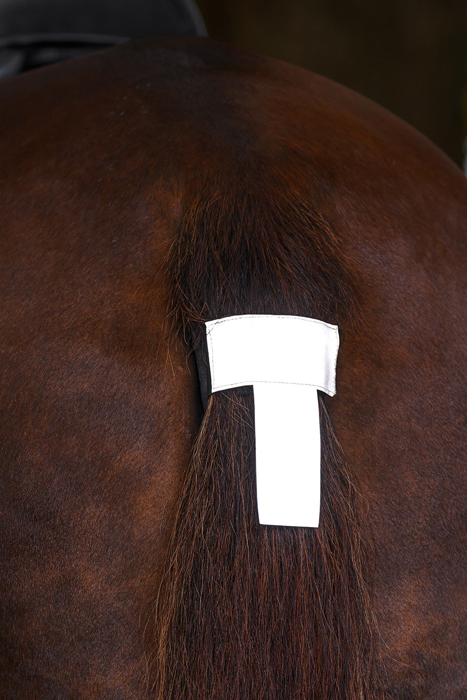 Waldhausen REFLEX Tail Cord Reflective