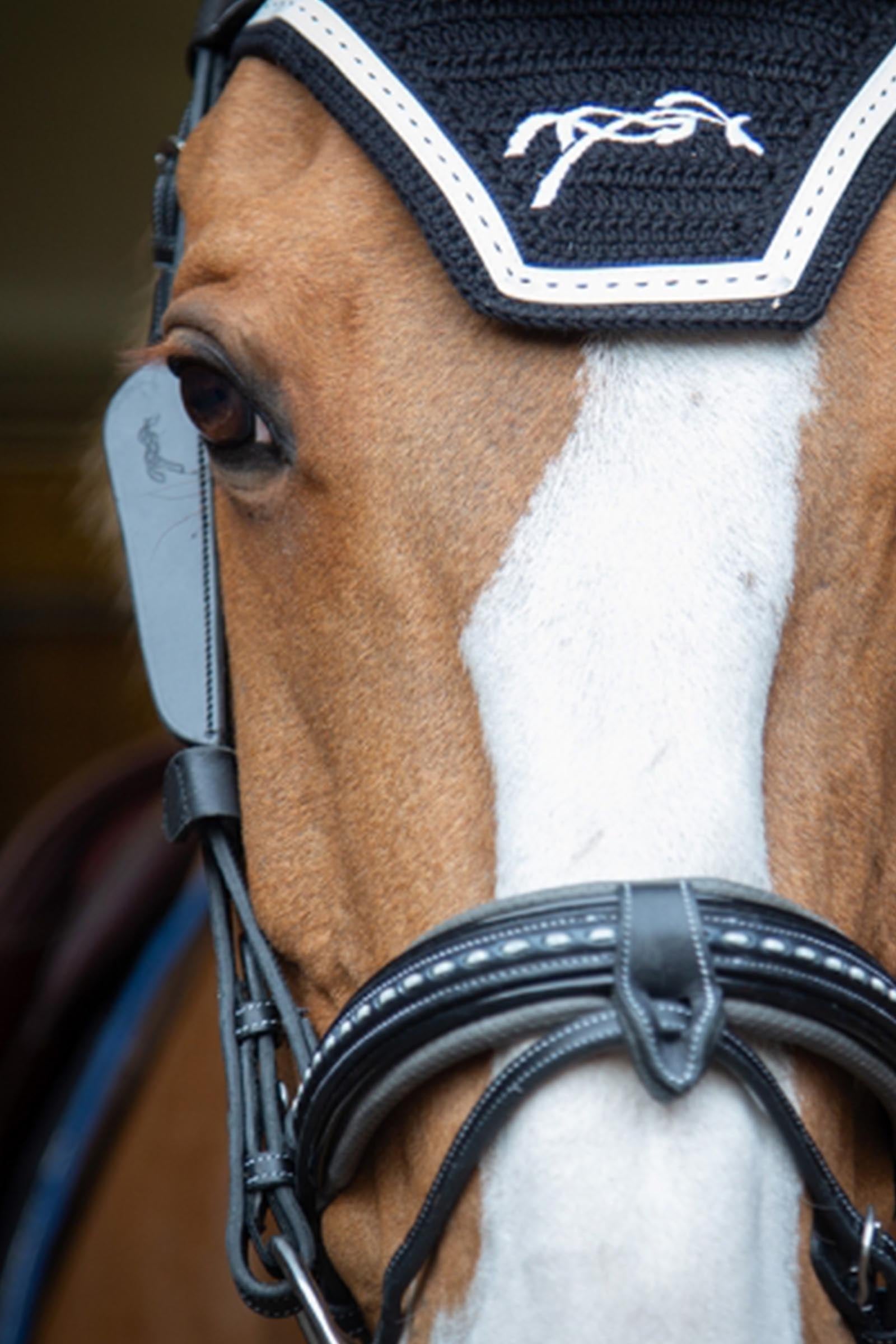 PENELOPE Blinkers Racing Tack