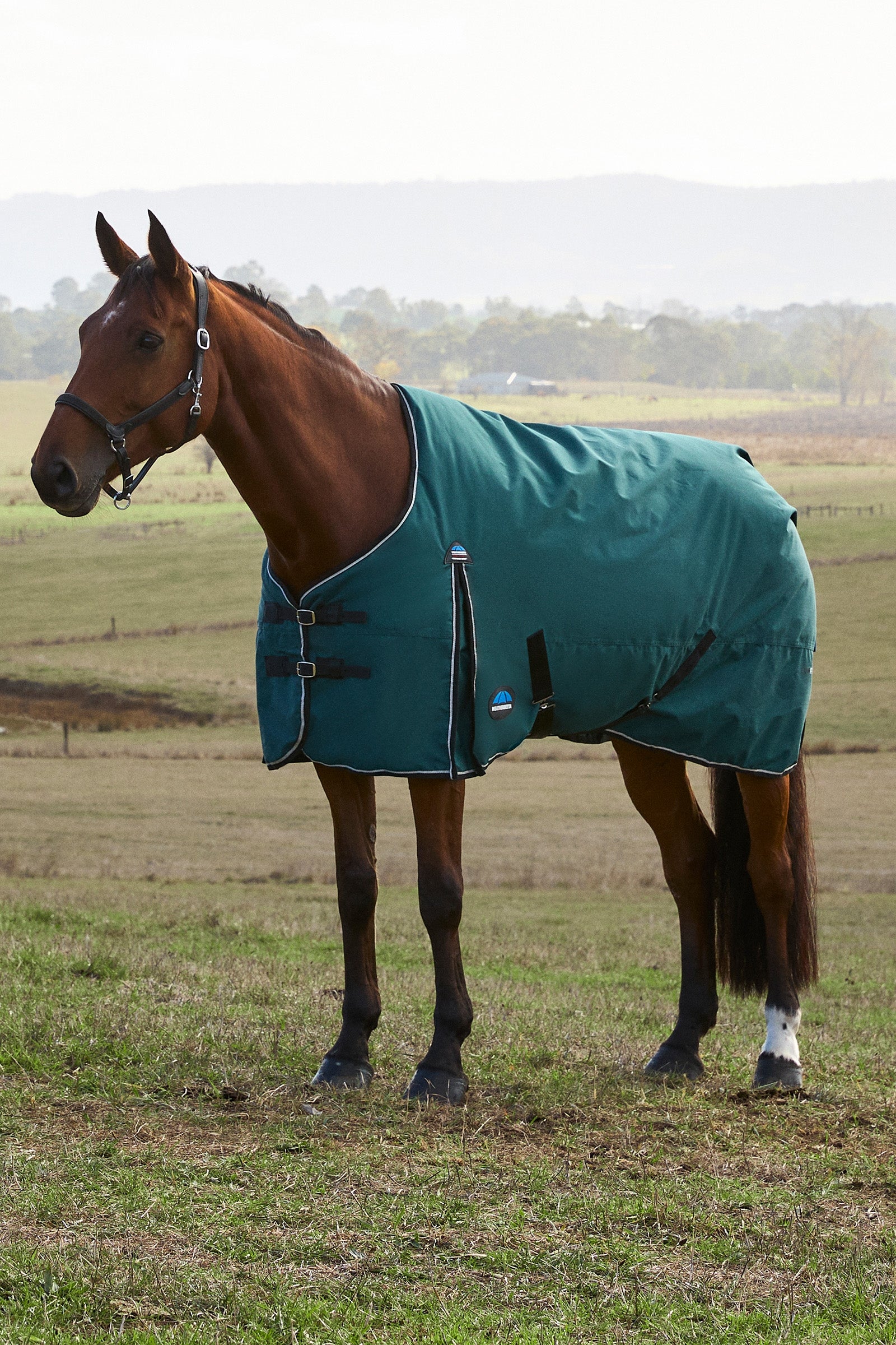 Weatherbeeta ComFiTec Classic Turnout Standard Neck 220G Loimet