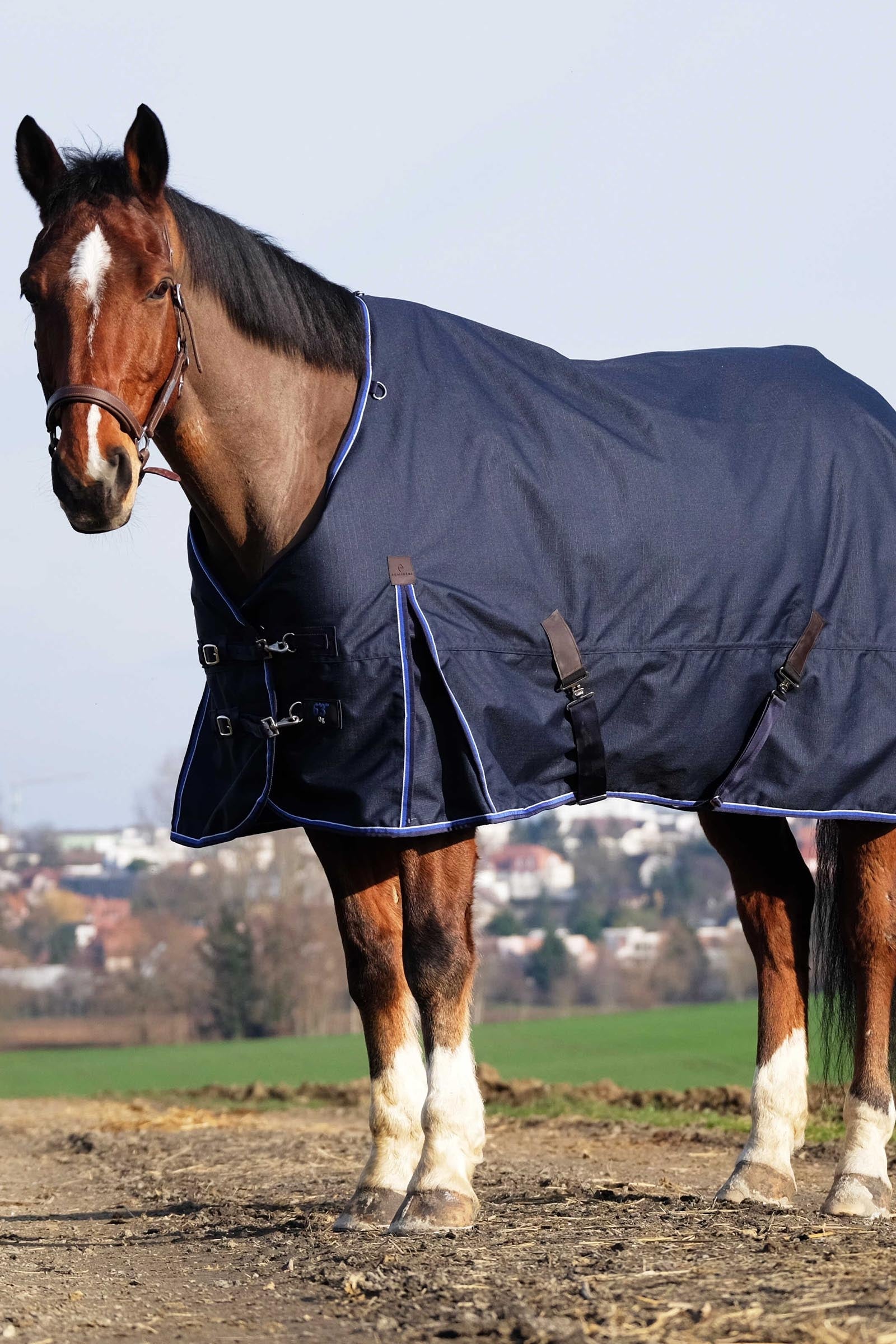 EQUITHÈME Classic 1200D ulkoloimi, 200 g Loimet