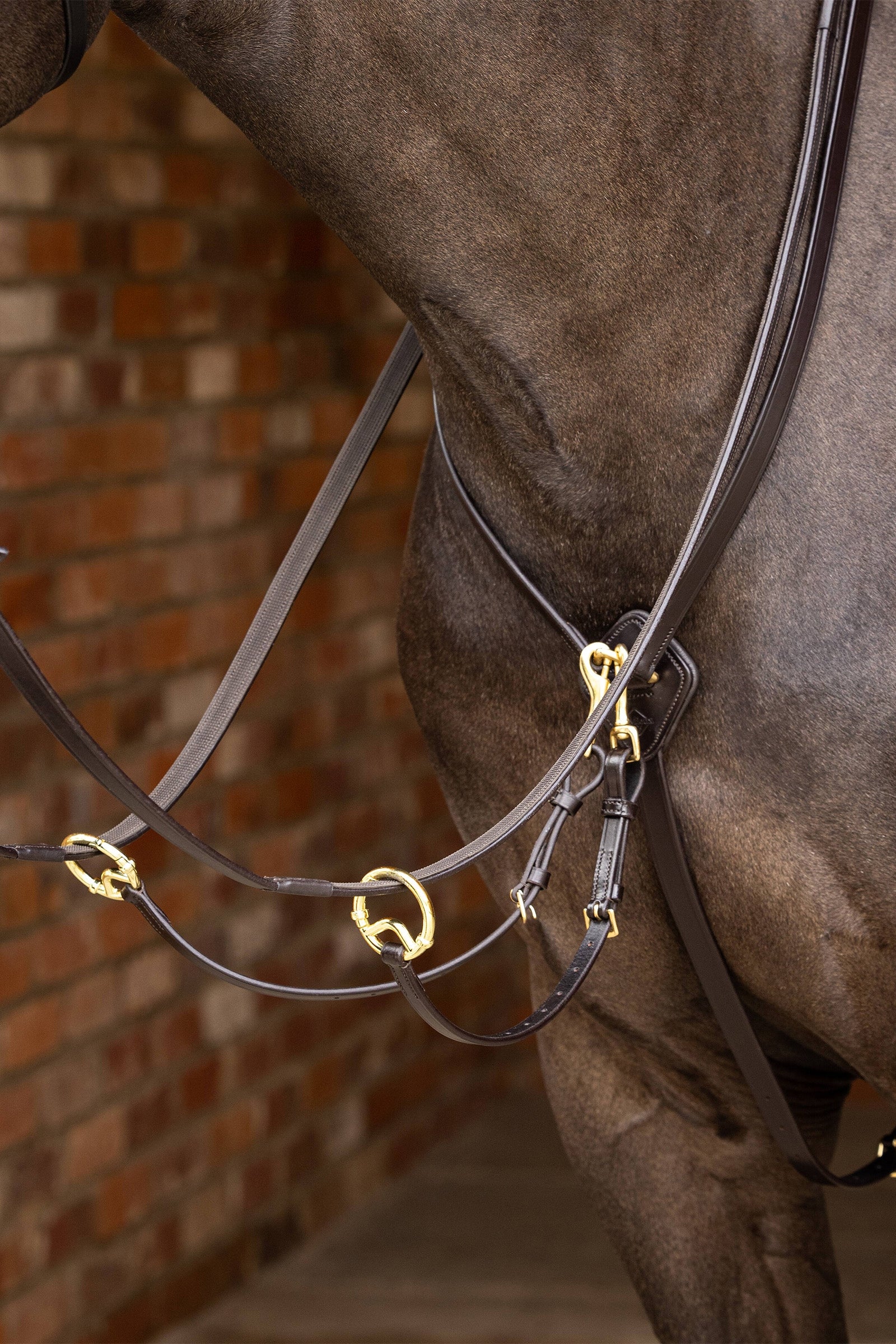 LeMieux Kudos Running Martingale Bridles & Reins