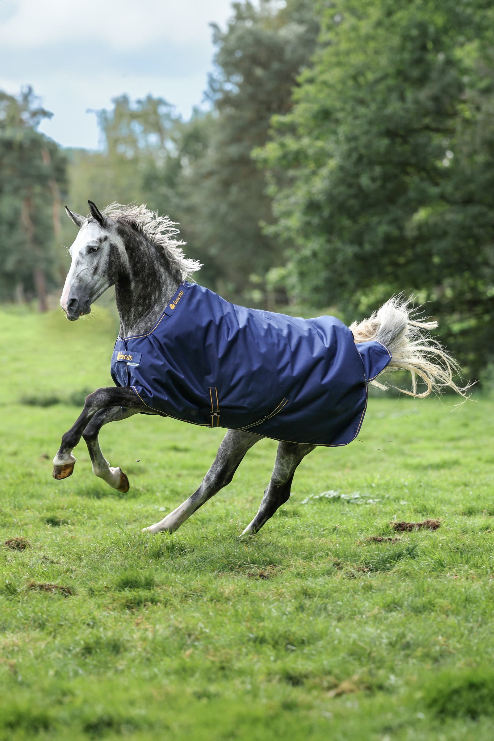 Bucas Irish Turnout Rug, 150g Horse Rugs