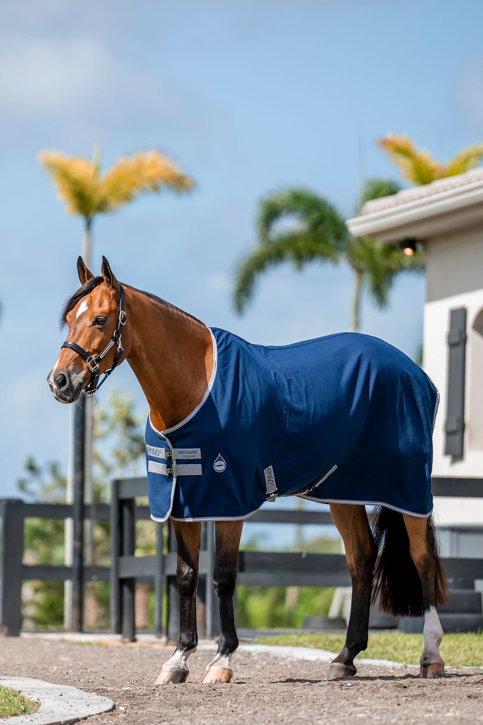 Horseware Amigo Talliloimi, 0g Loimet