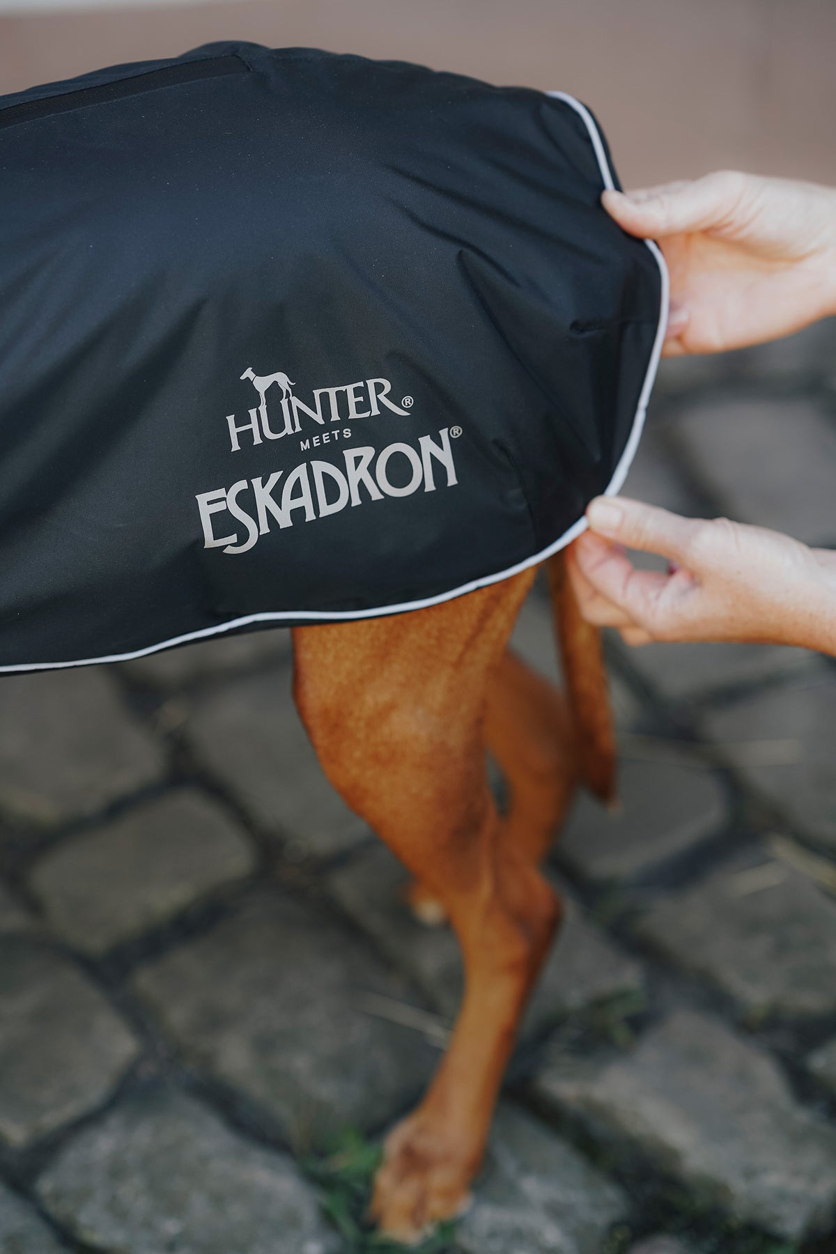 Eskadron Hunter x ESKADRON VARIO Dog Winter Coat Dog Accesories