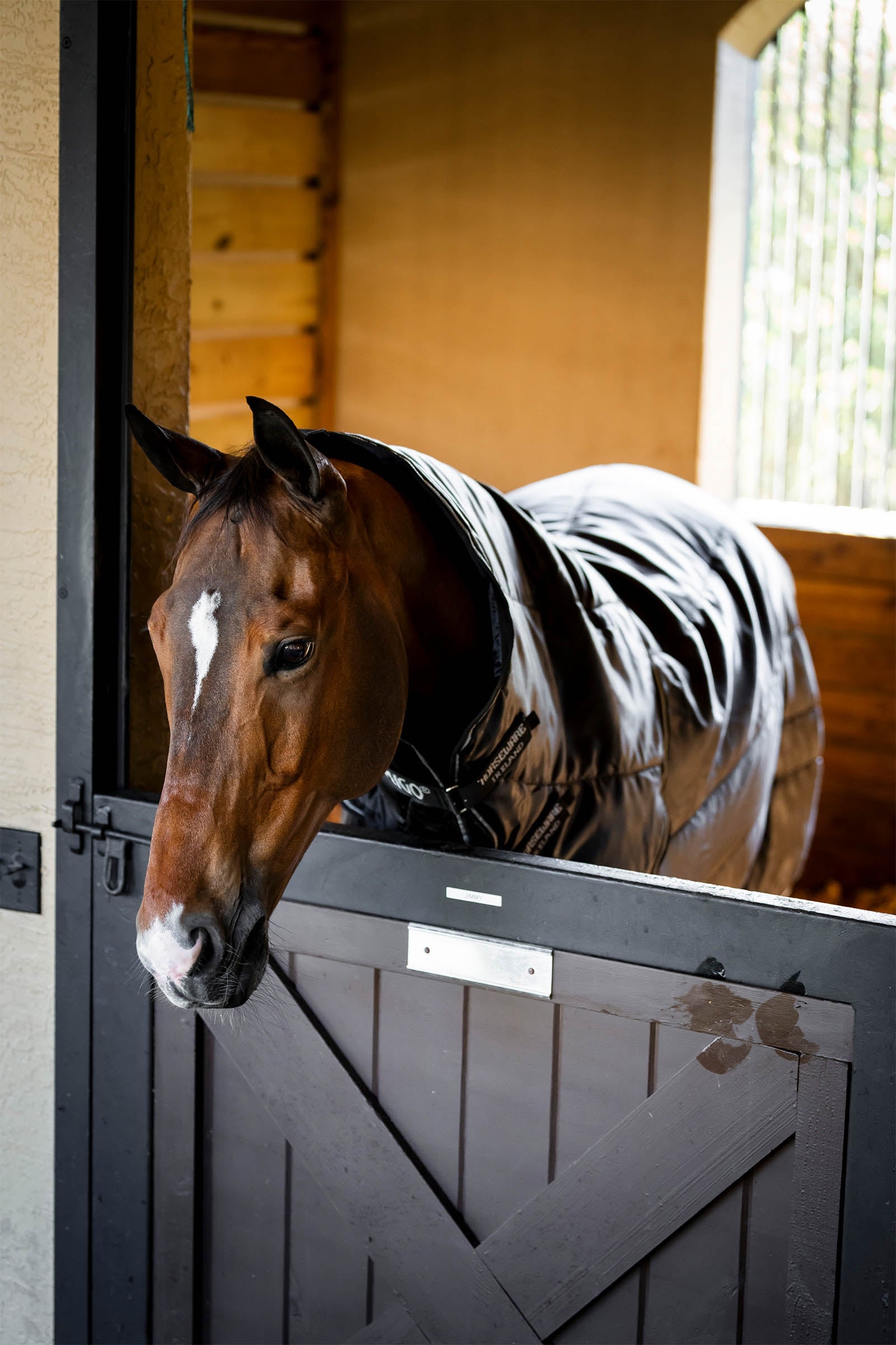 Horseware Amigo Ripstop Insulator Plus Stable Rug, 200 g Horse Rugs