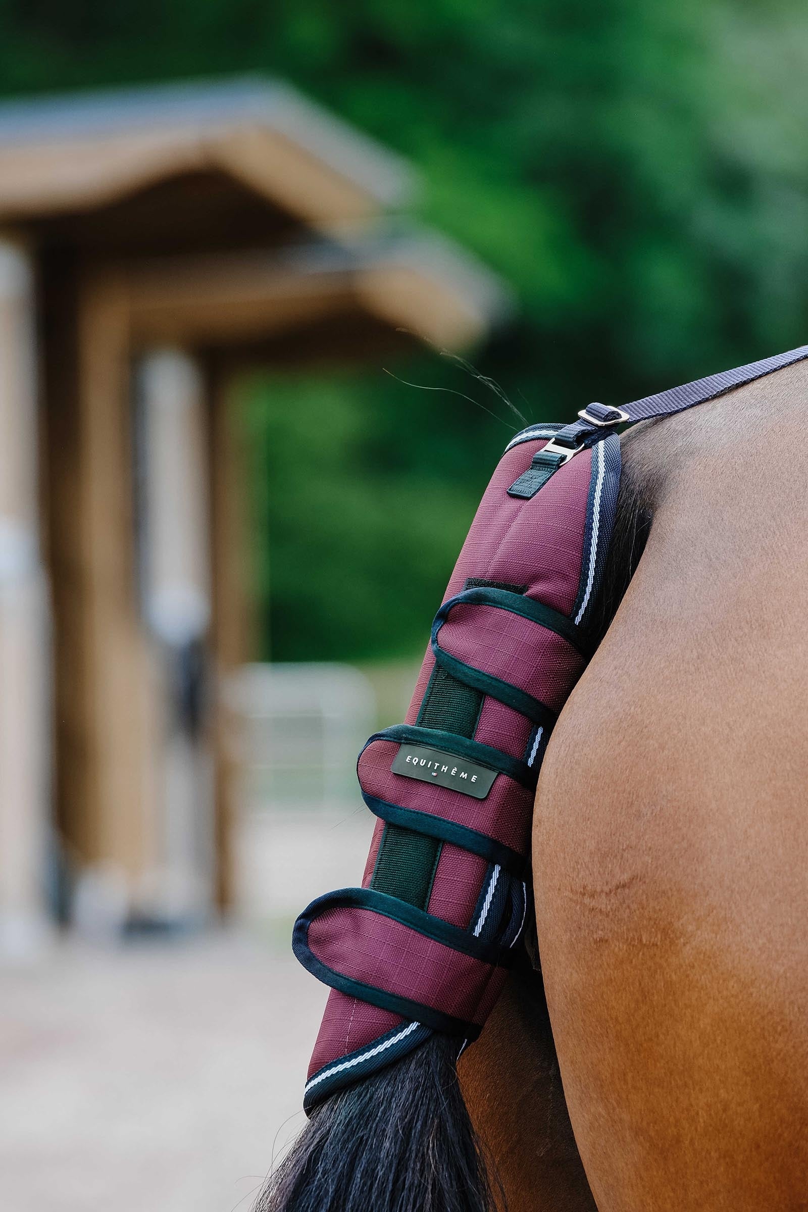 Equi Theme EQUITHÈME TYREX 1200D hännänsuoja Leg & Hoof Protection