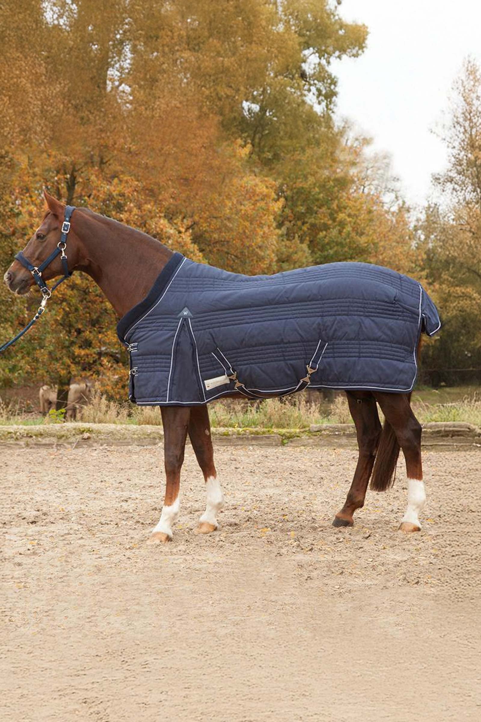 Waldhausen Stable Rug comfort Line 300g Loimet