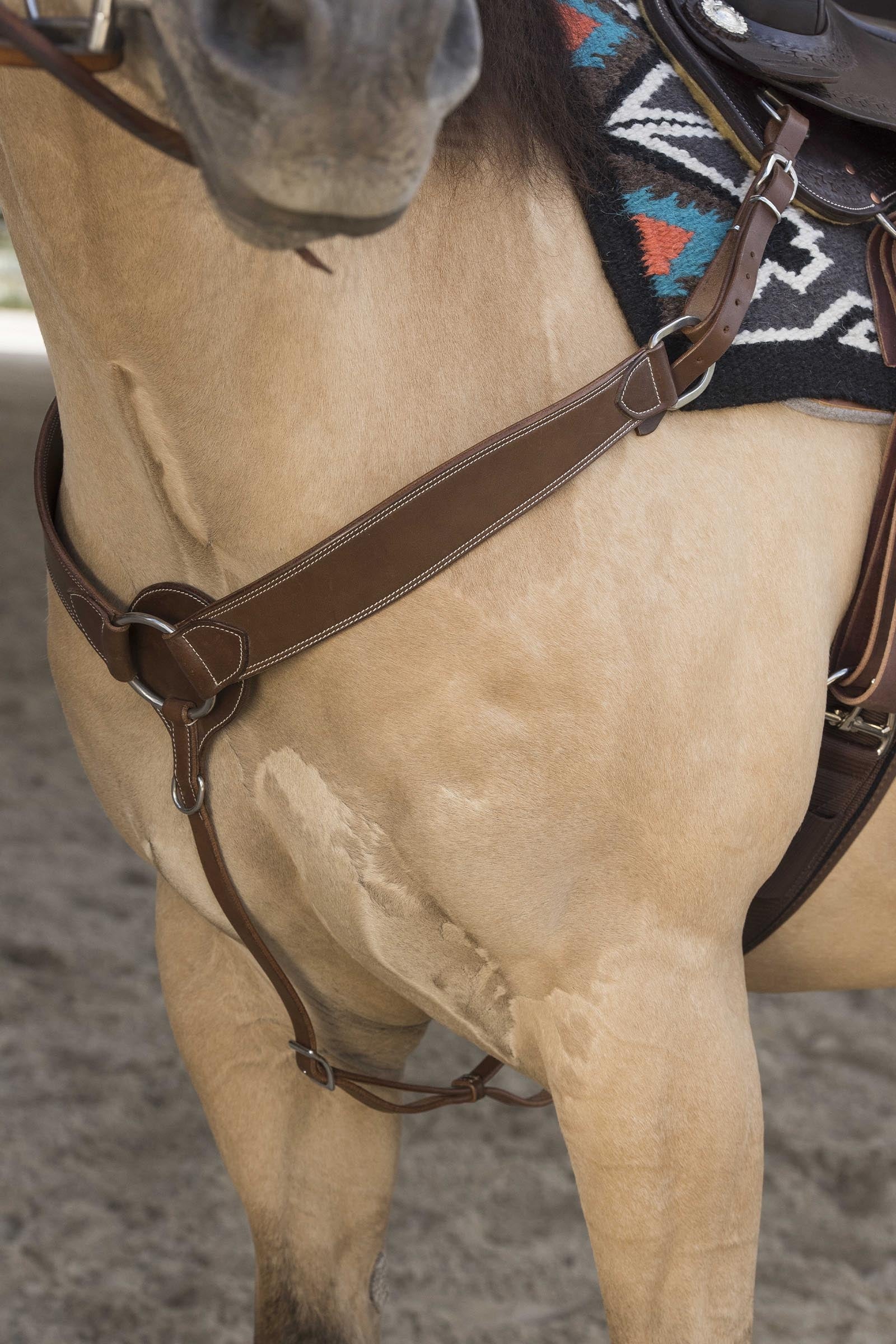 WESTRIDE Billy rintaremmi by Franck Perret Suitset & Ohjat